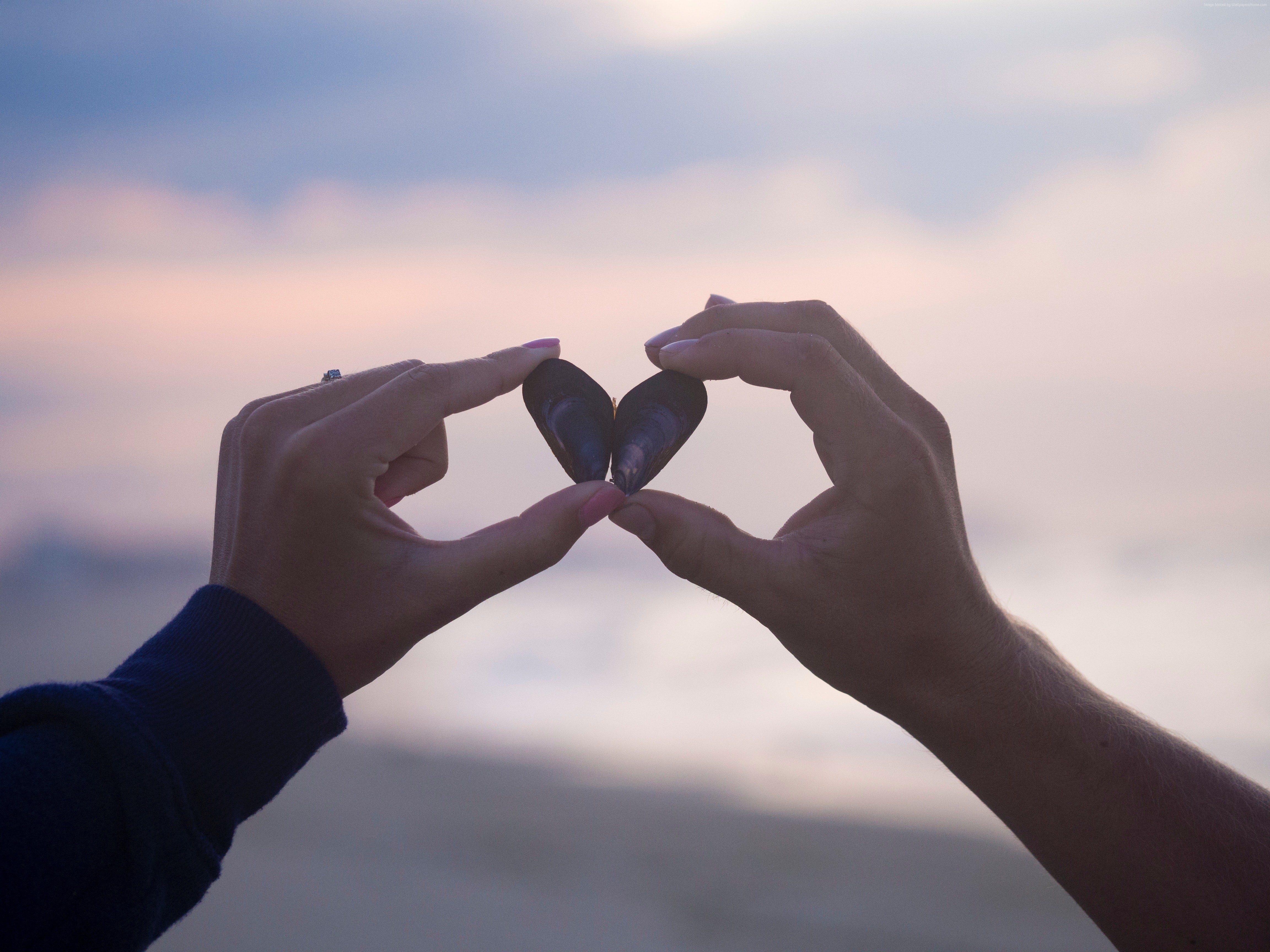 Hands forming a heart with a seashell HD Wallpaper