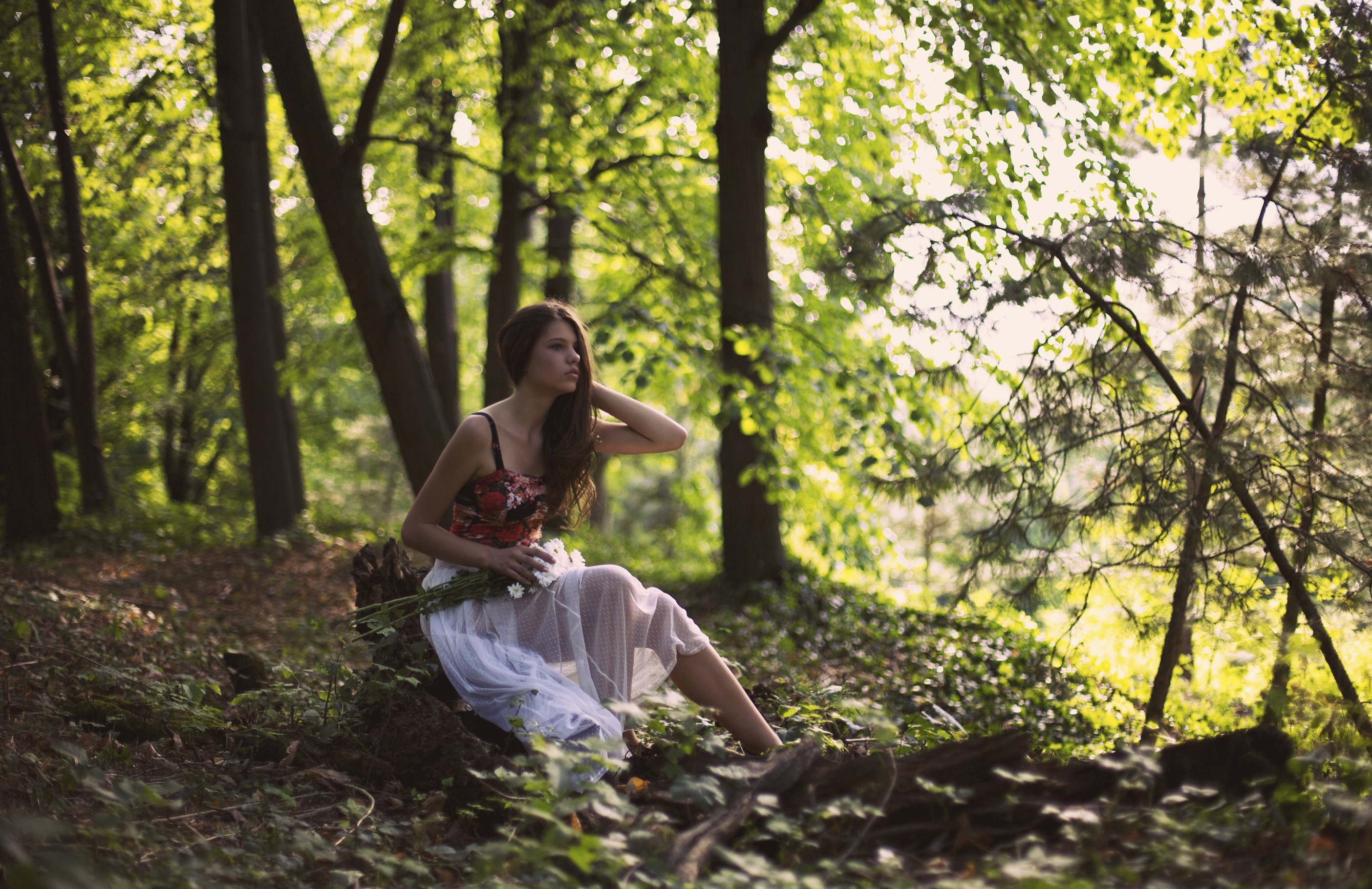 Young woman sitting in a sunlit forest with flowers HD Wallpaper