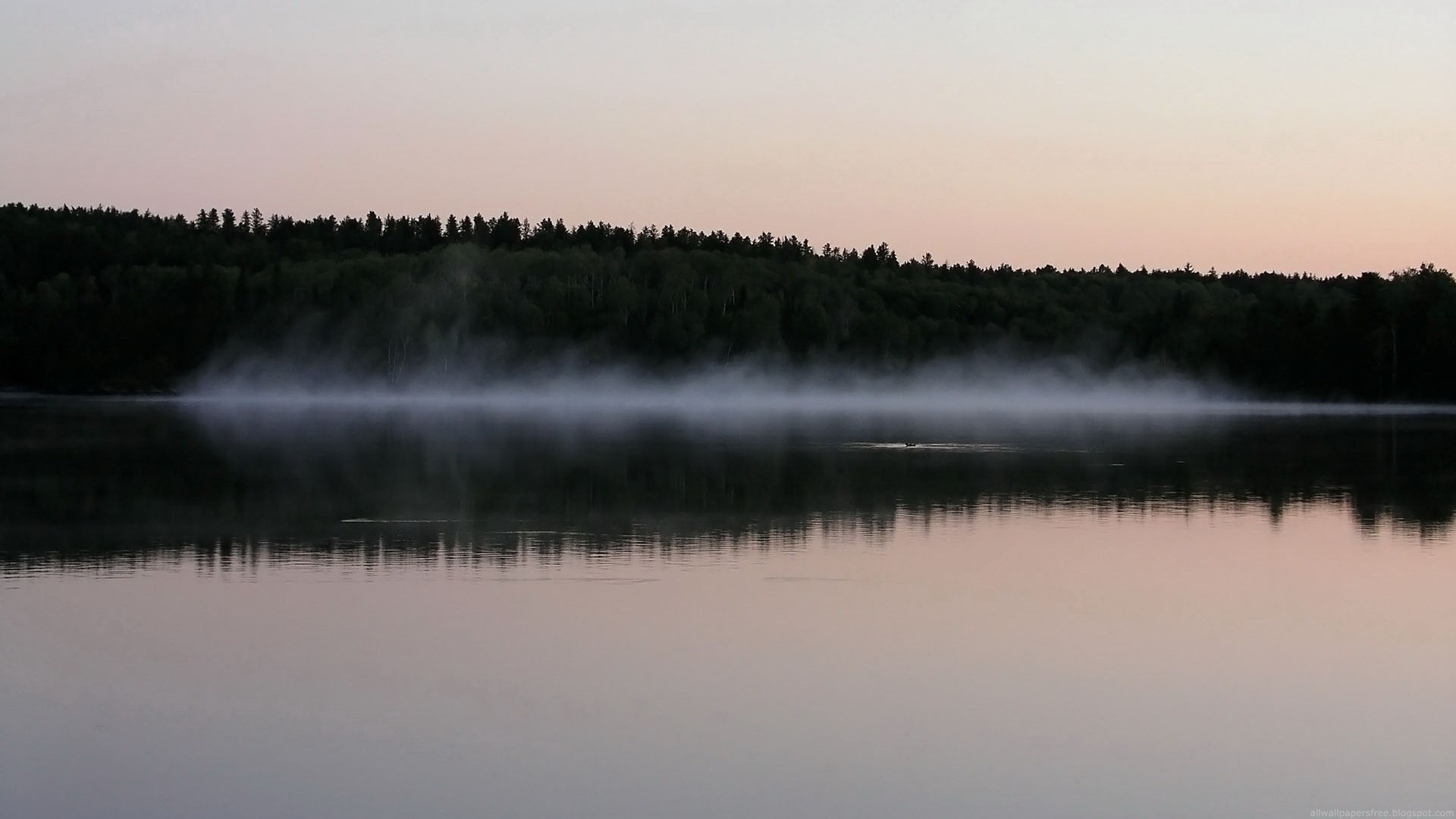 Misty lake at sunrise with forest reflection HD Wallpaper