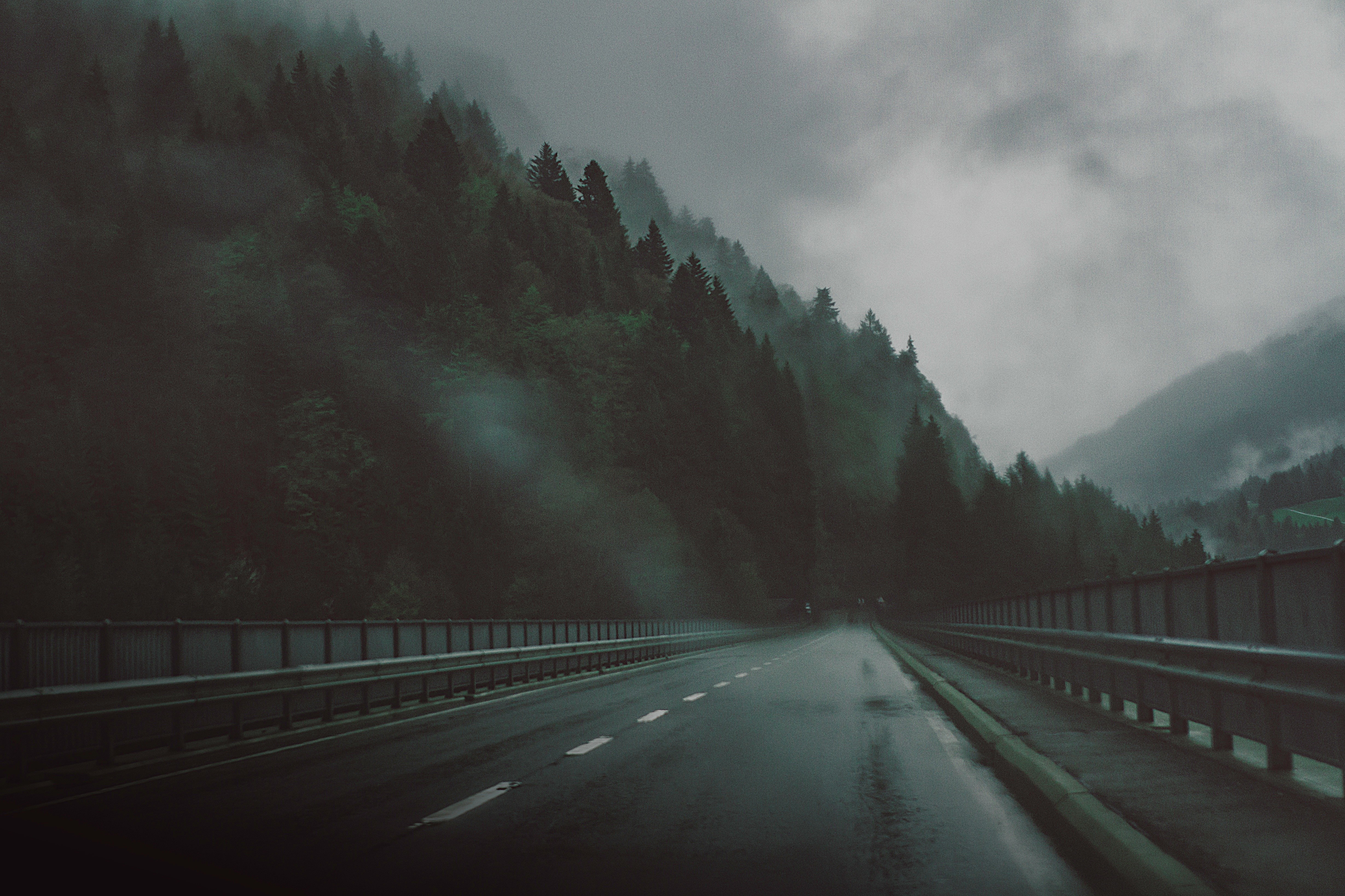 Road through a foggy forest on a cloudy day HD Wallpaper