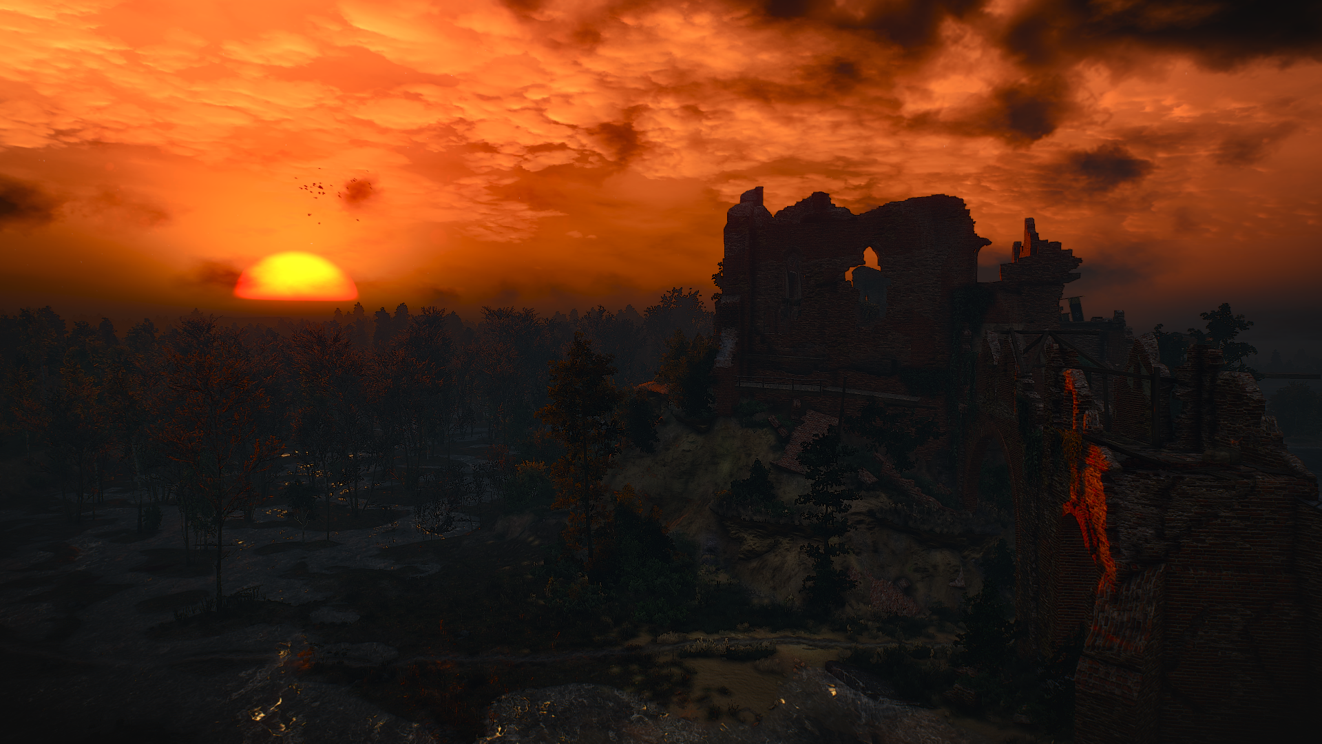 The Witcher 3: Wild Hunt sunset over ruins and forest HD Wallpaper