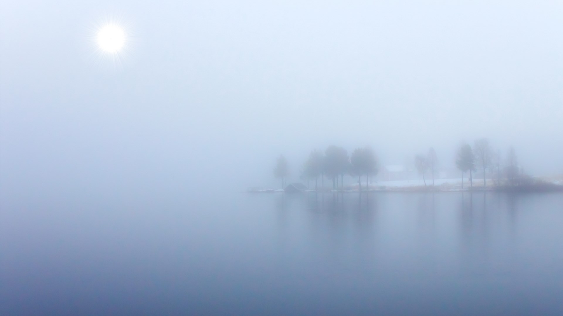 Misty lake with trees and sun HD Wallpaper