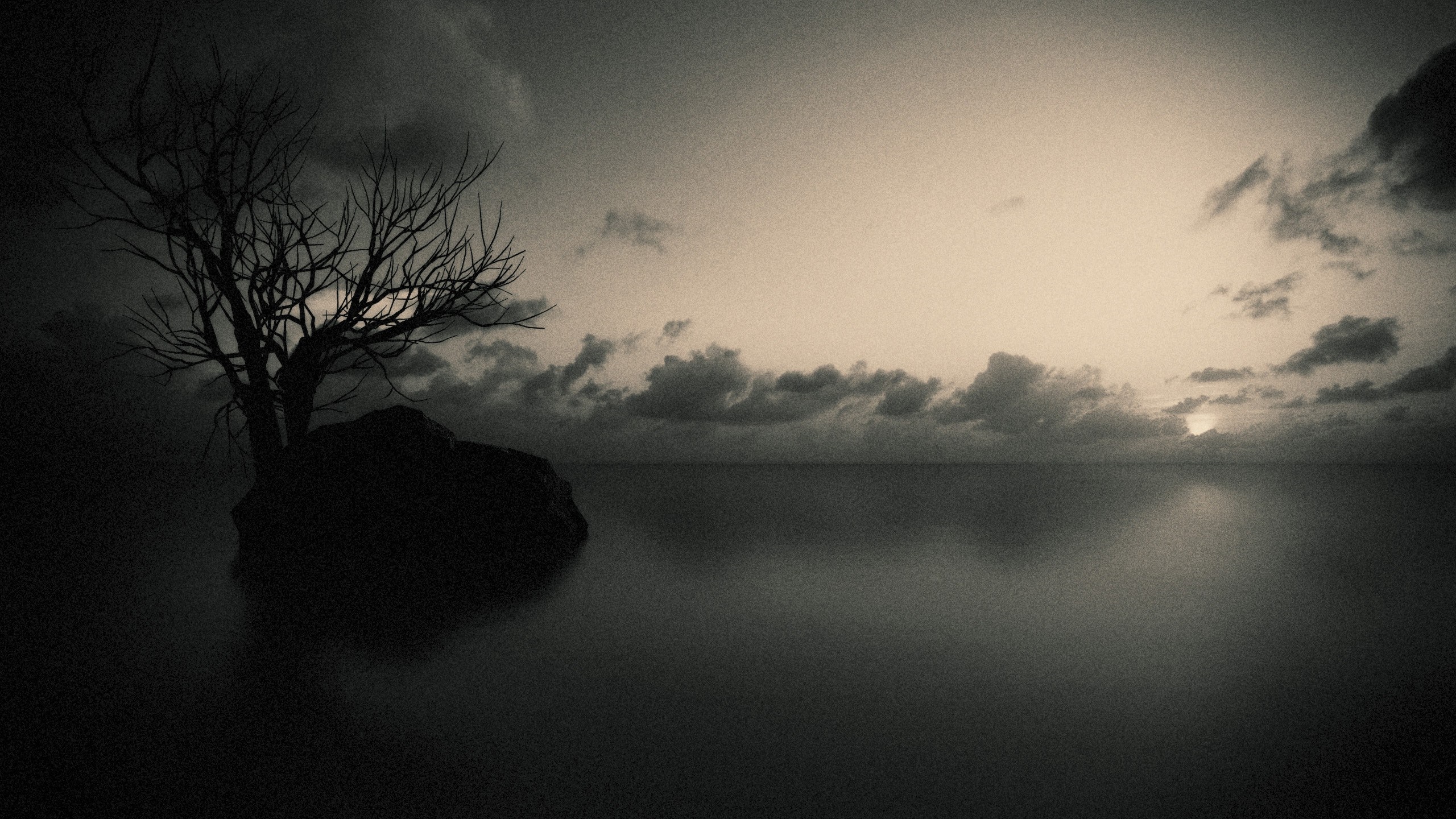 Bare tree on a rock in the sea at sunset HD Wallpaper