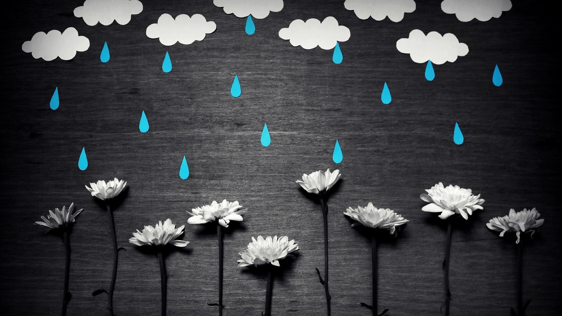 Paper clouds and raindrops over white flowers HD Wallpaper