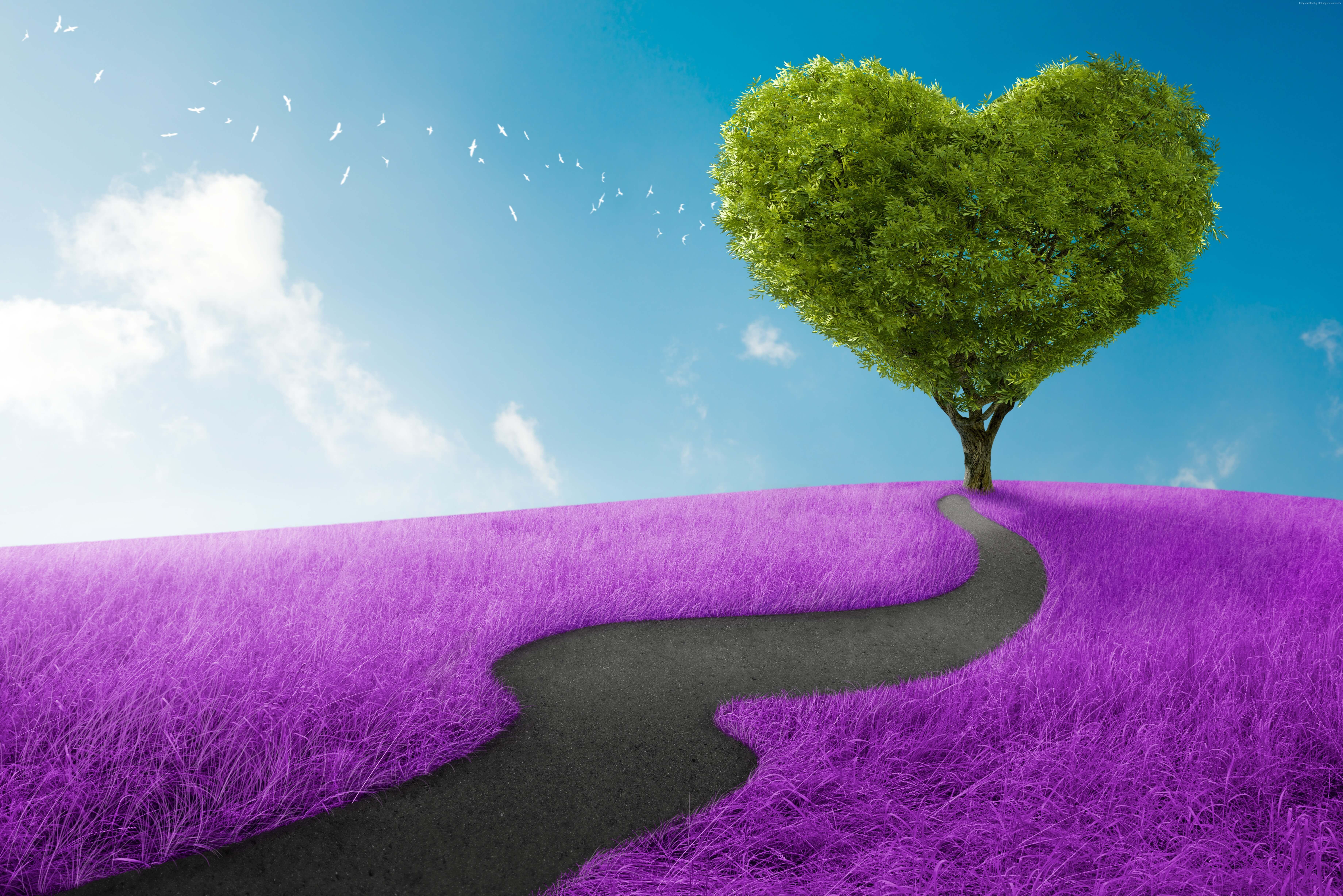 Heart shaped tree on purple field 4K HD Wallpaper