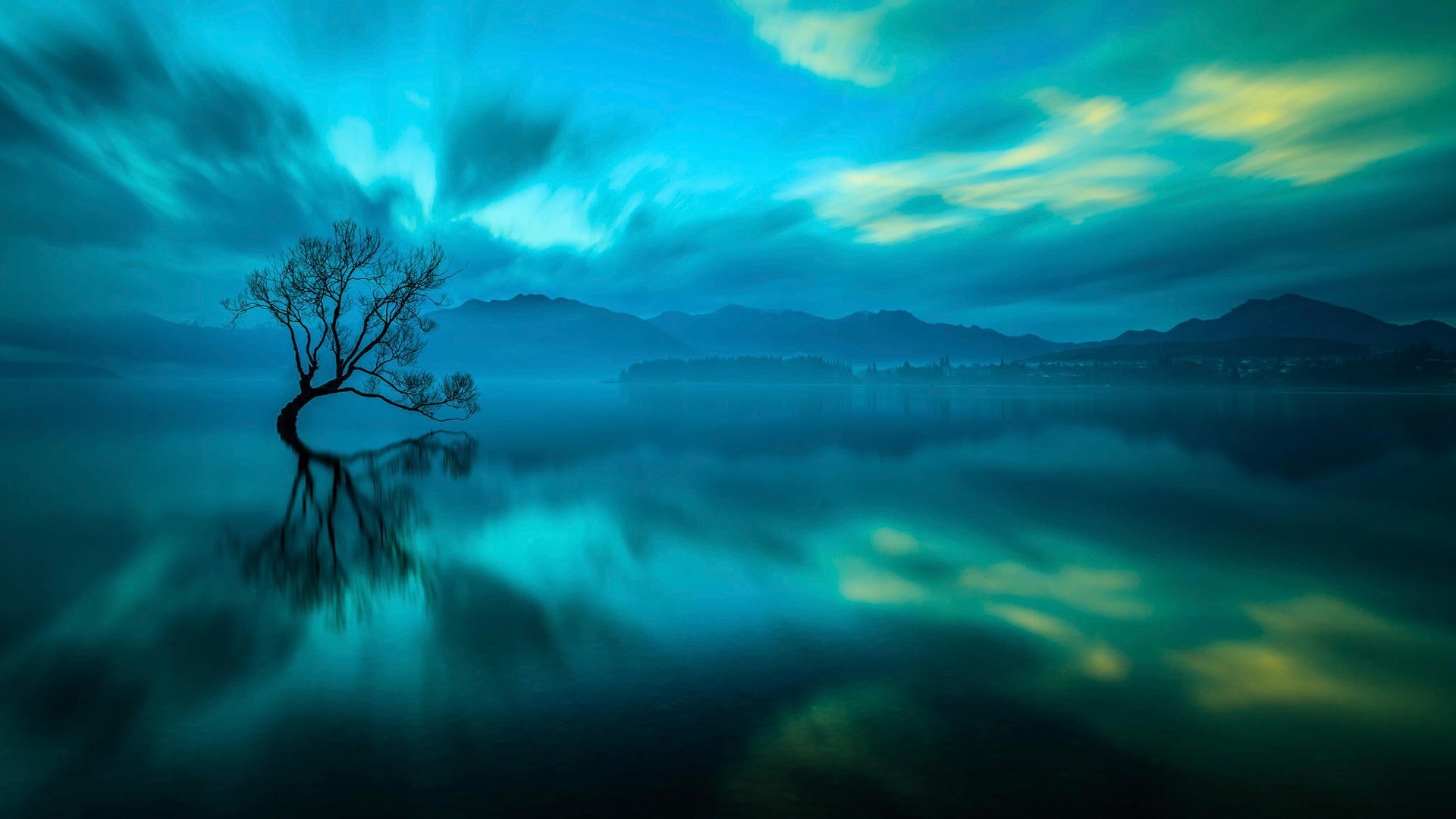 Lone tree reflecting in a lake at dawn HD Wallpaper
