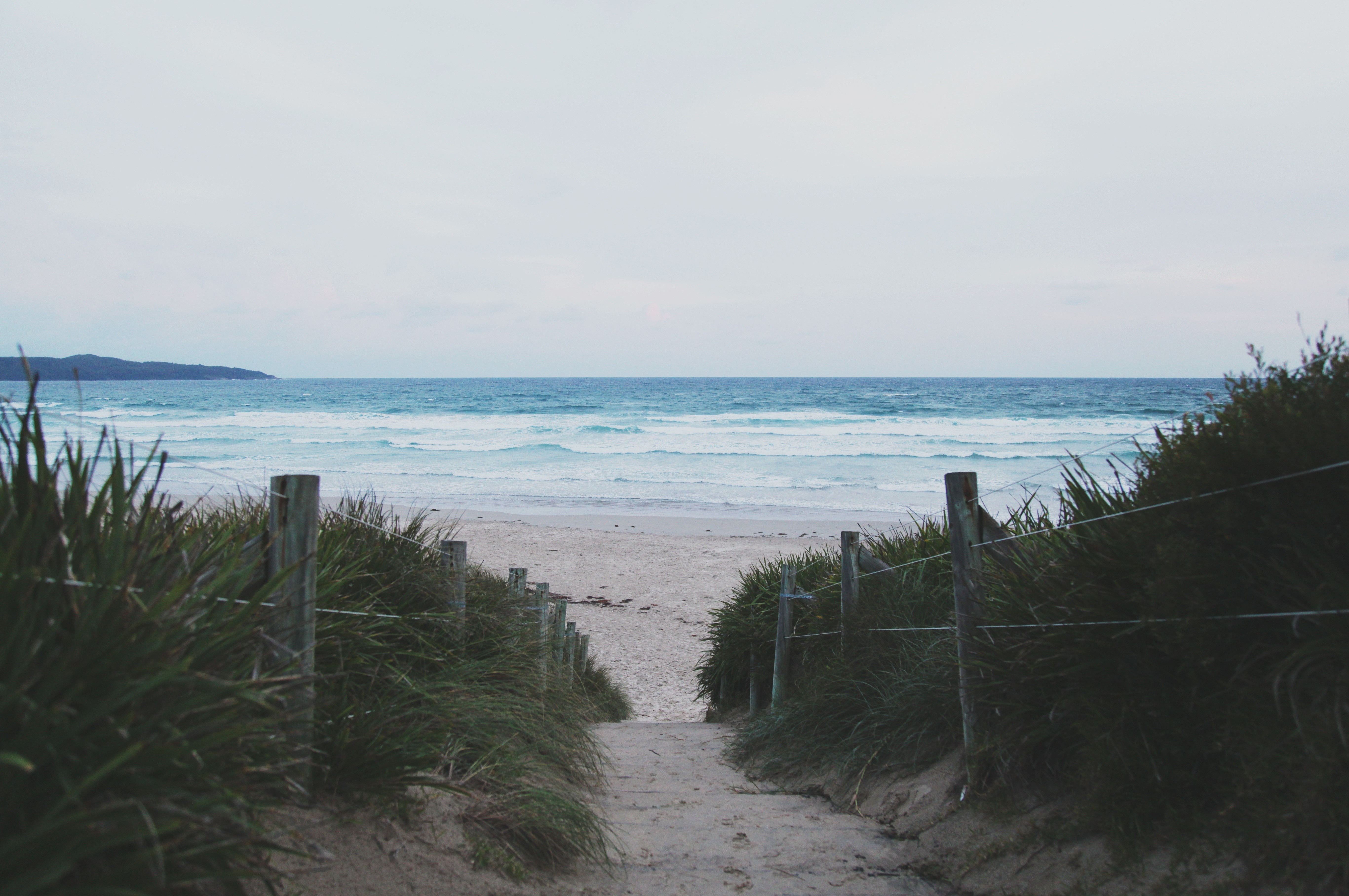 Beach path with grass and ocean waves HD Wallpaper