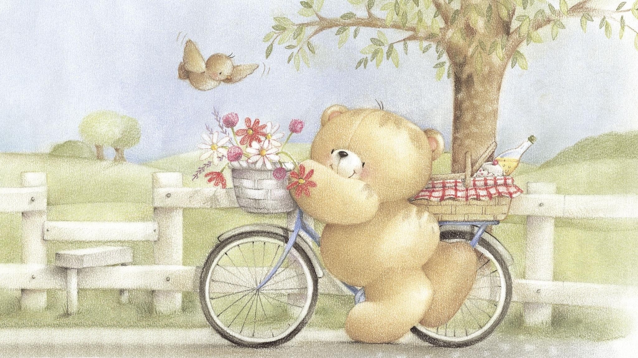 Teddy bear with flowers on a bicycle HD Wallpaper