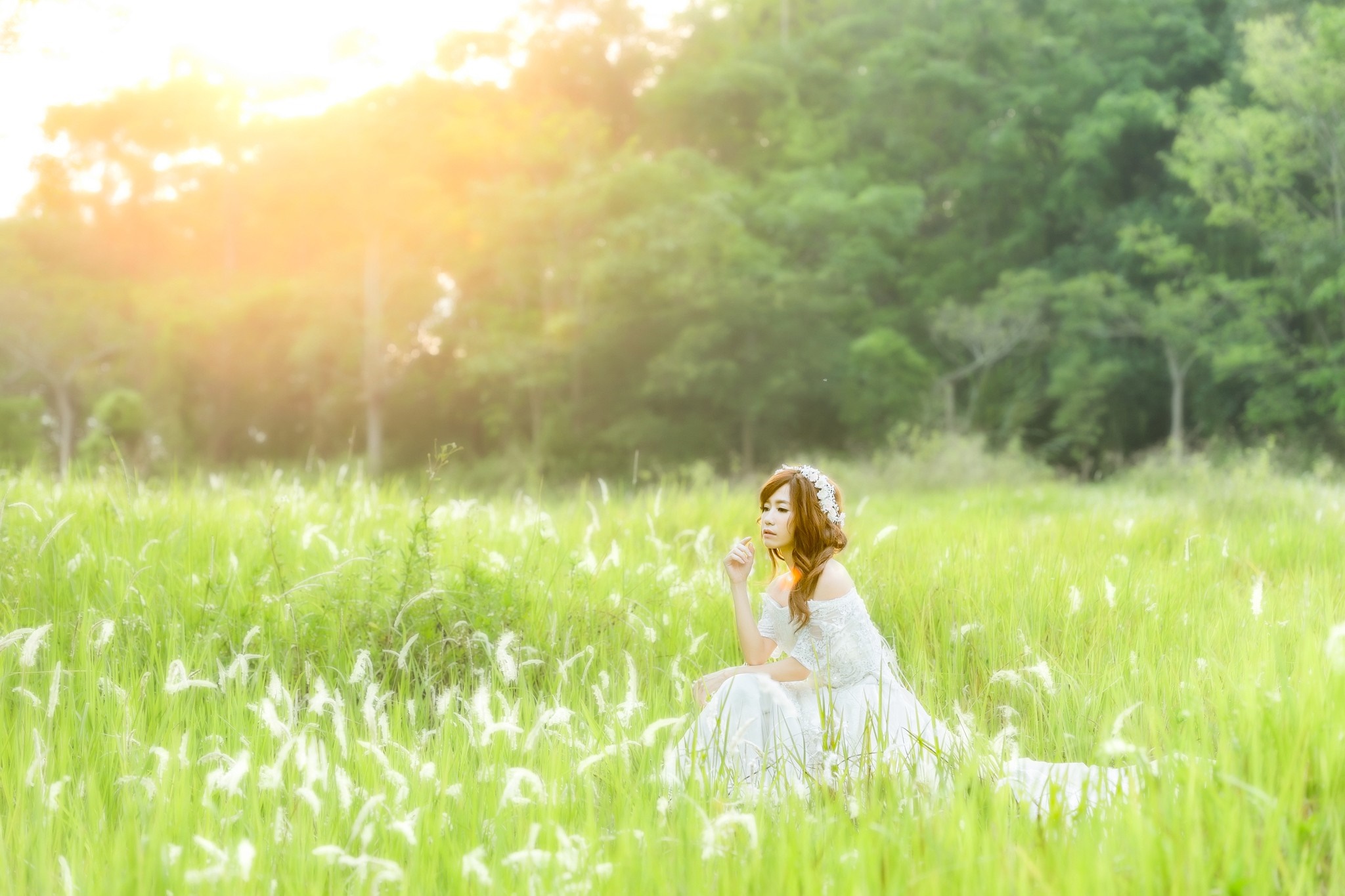 Woman in white dress sitting in a grassy field HD Wallpaper