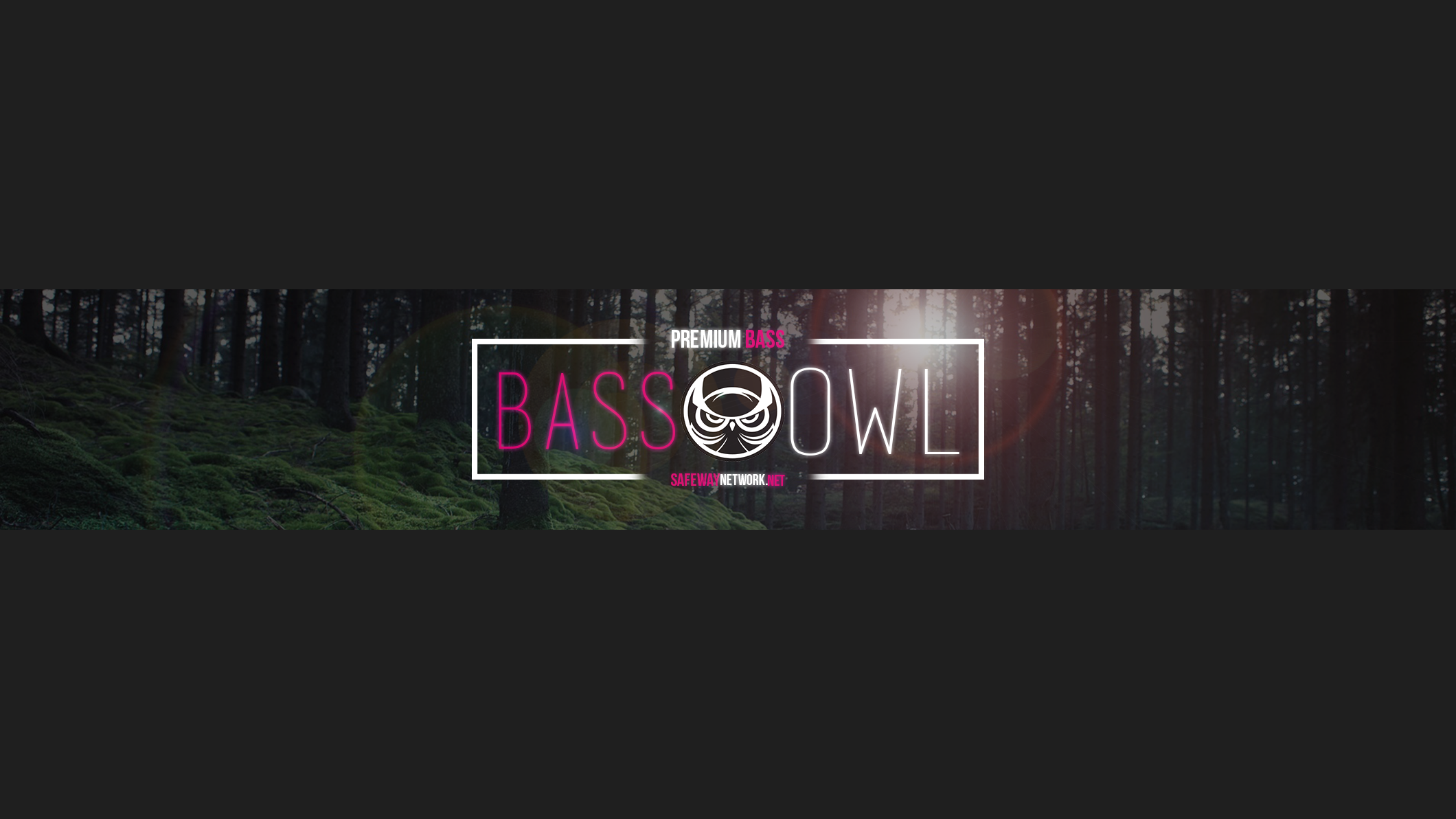 Bass Owl Premium Bass Logo HD Wallpaper