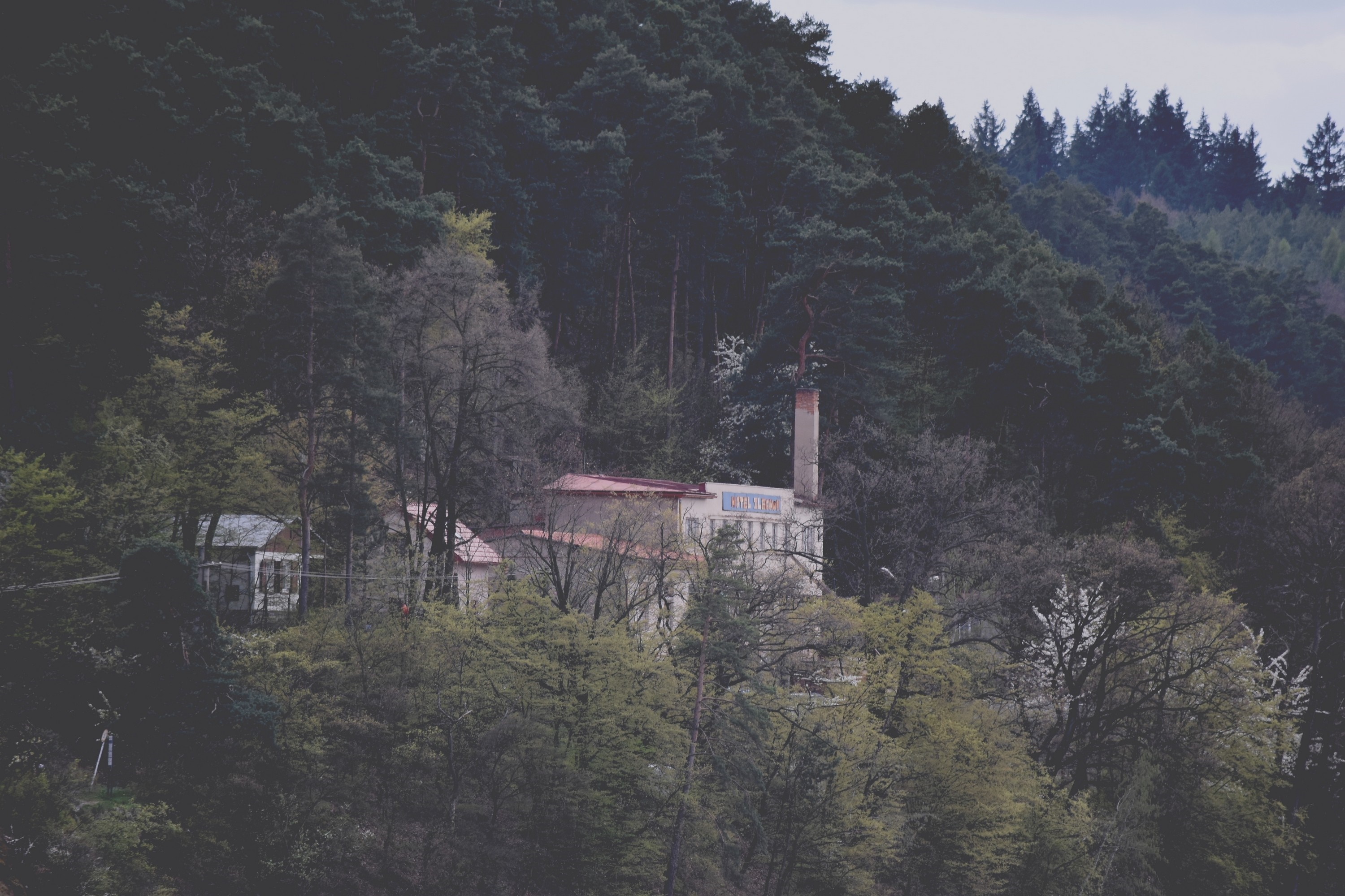 Abandoned factory building on a forested hill HD Wallpaper