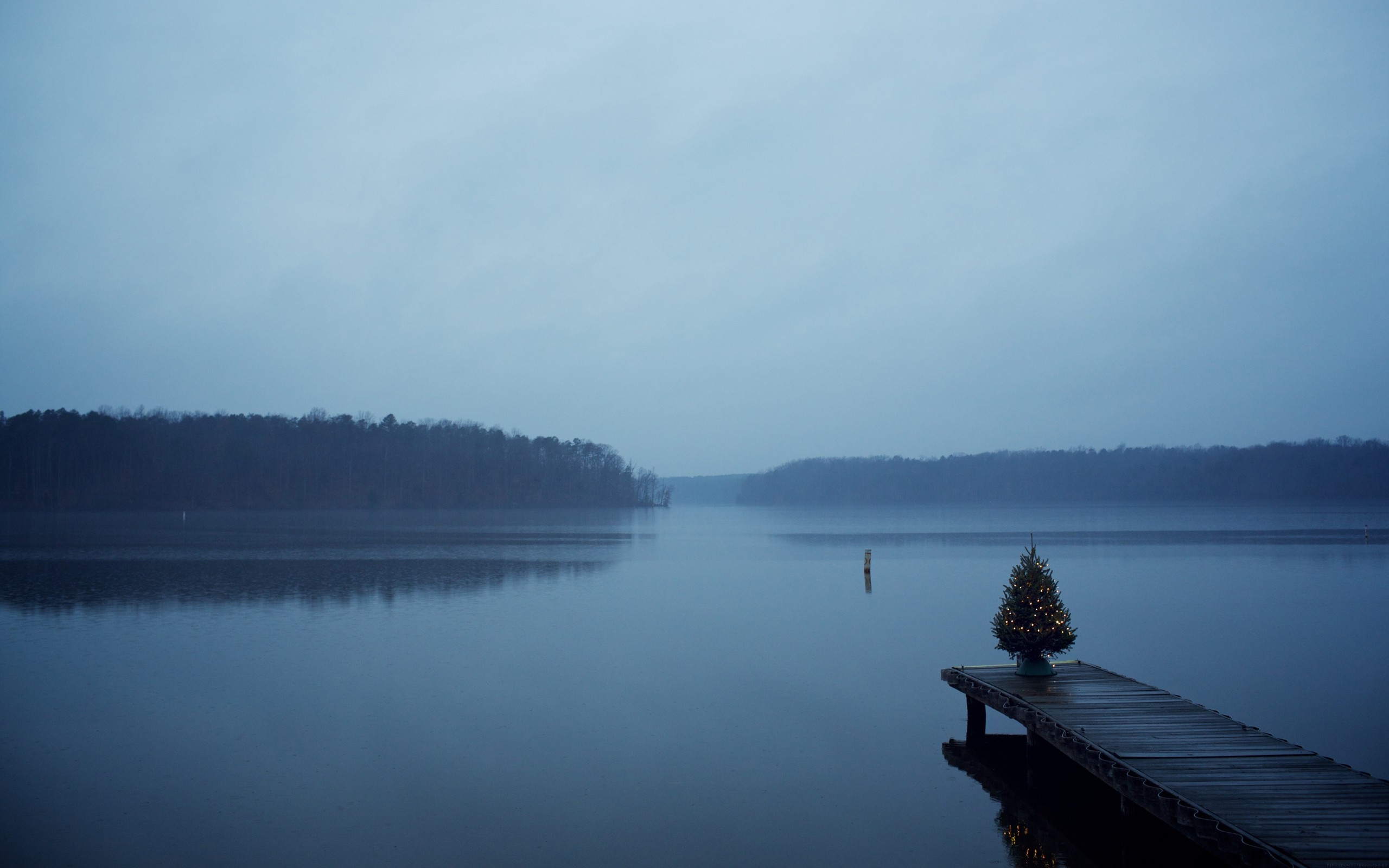 Christmas tree on a dock in a misty lake at dawn HD Wallpaper