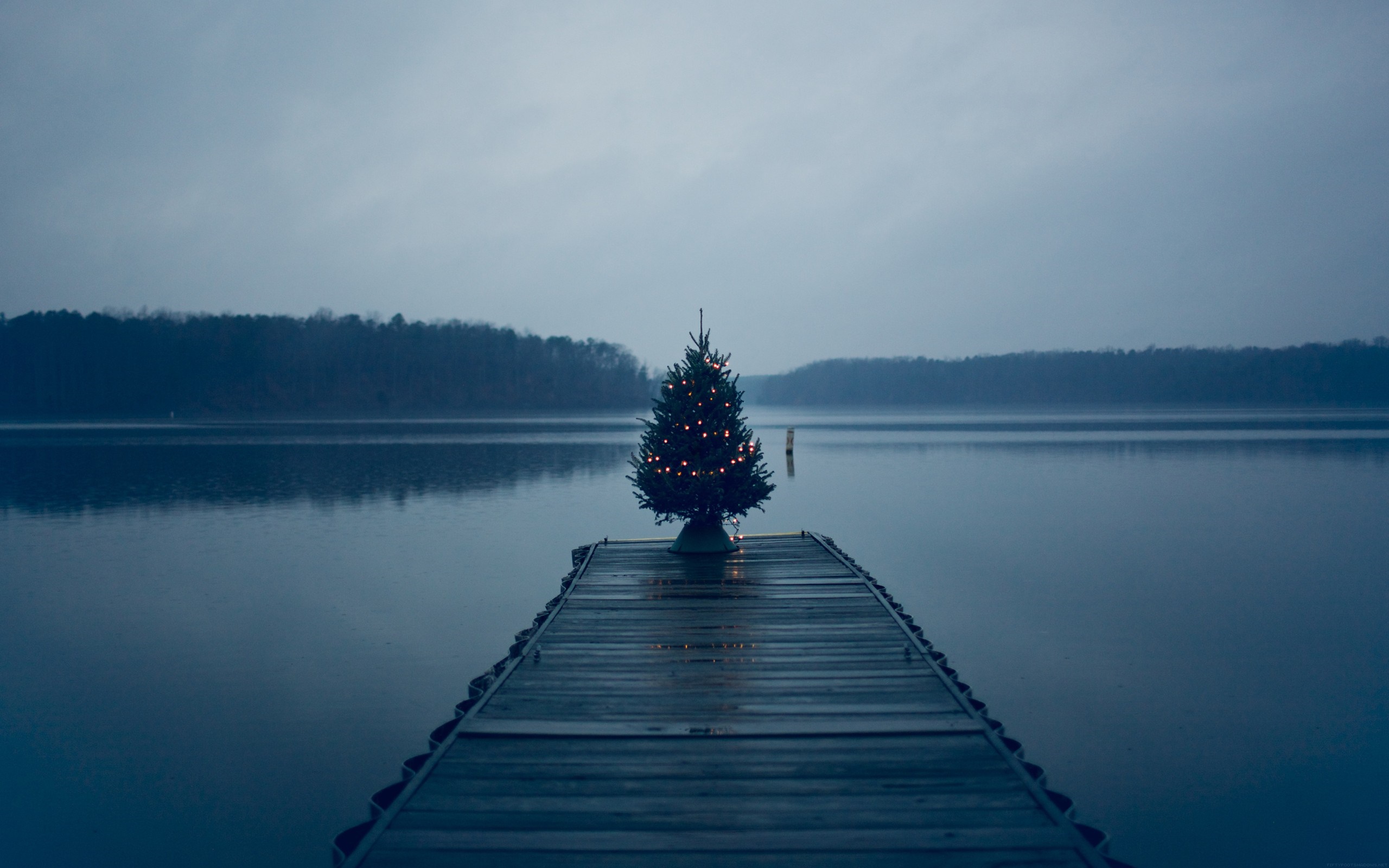 Christmas tree on a dock at dusk HD Wallpaper