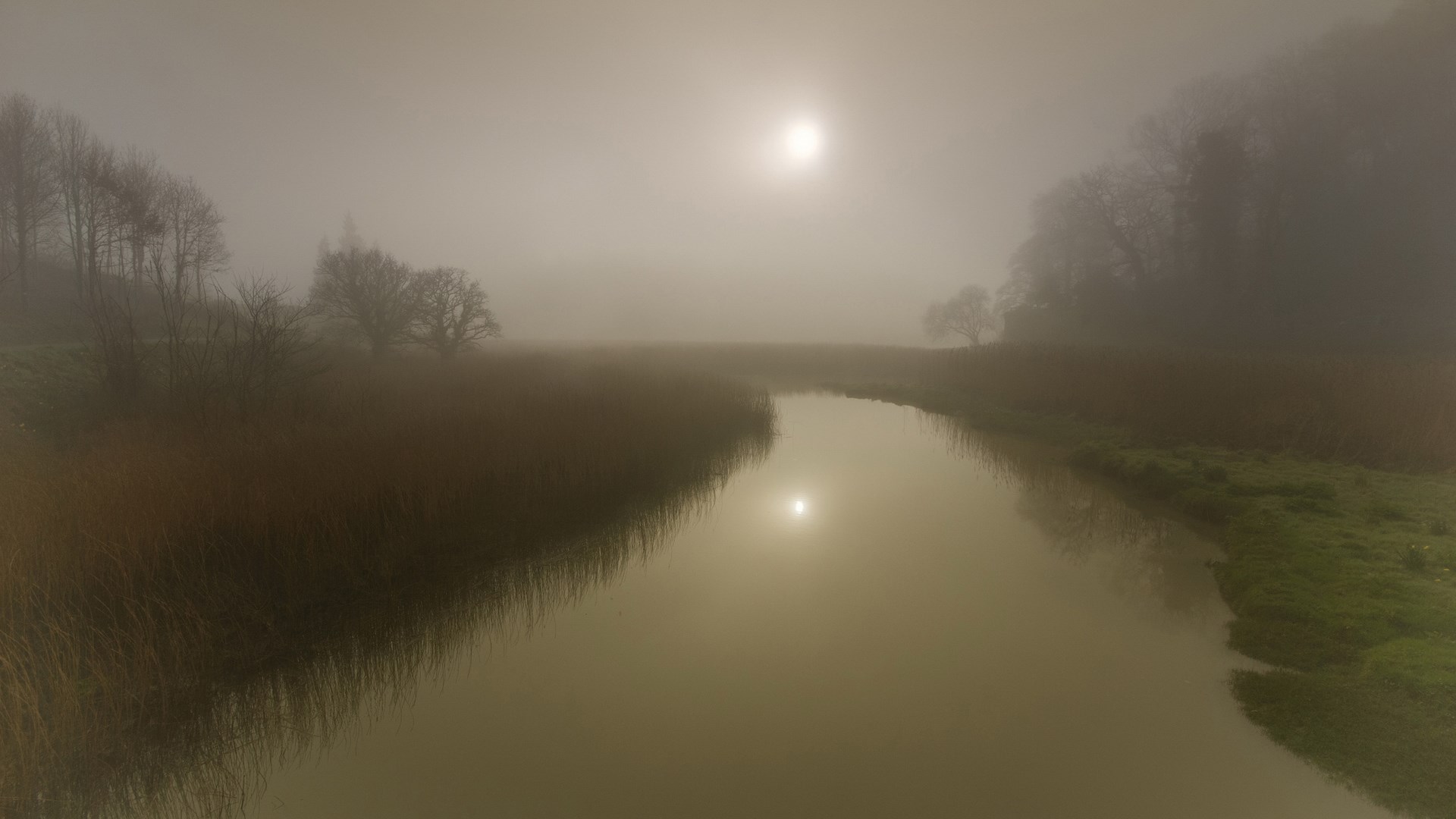 Misty river with sun reflection and trees HD Wallpaper