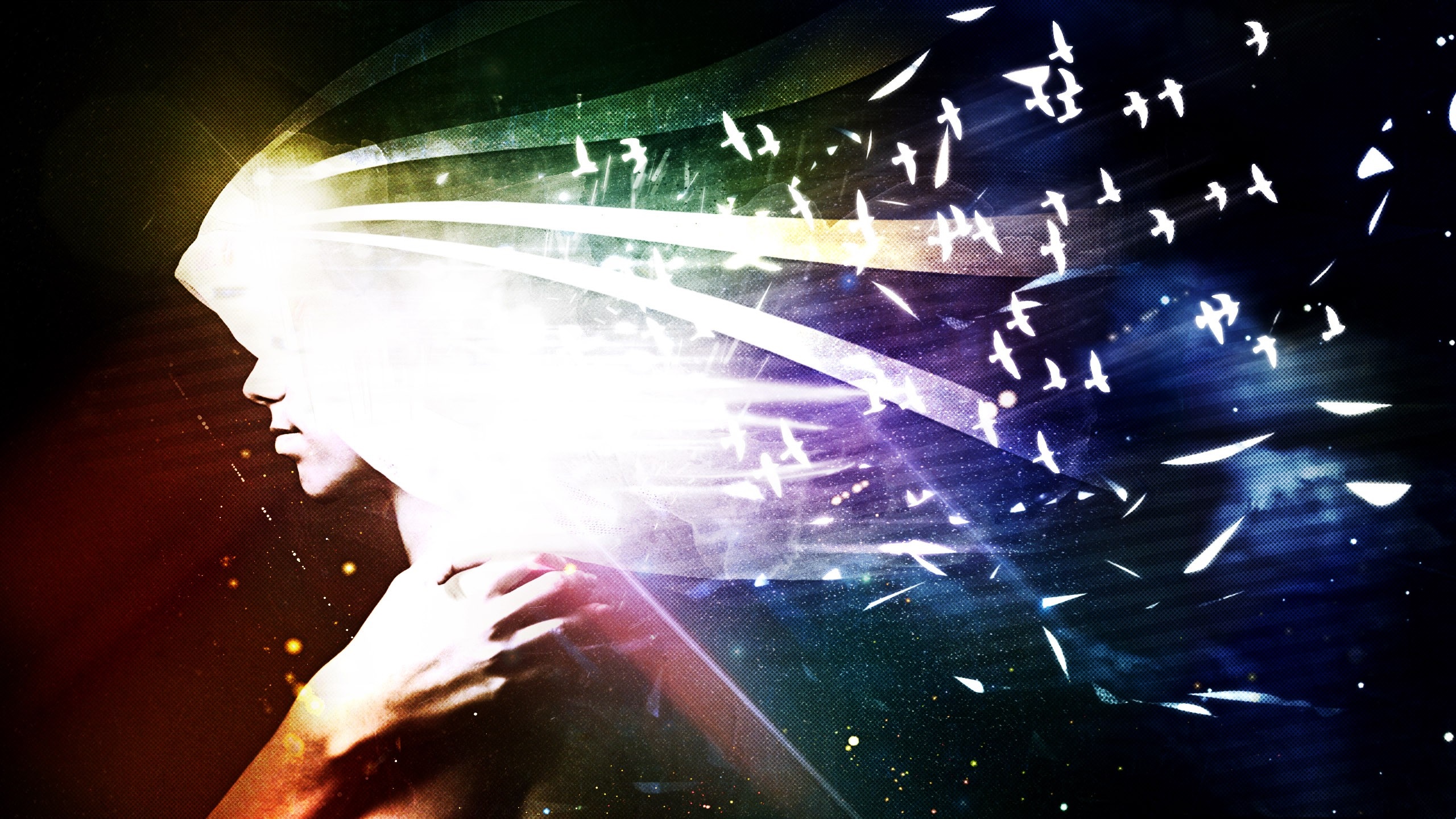 Abstract digital art of a person with light and birds HD Wallpaper