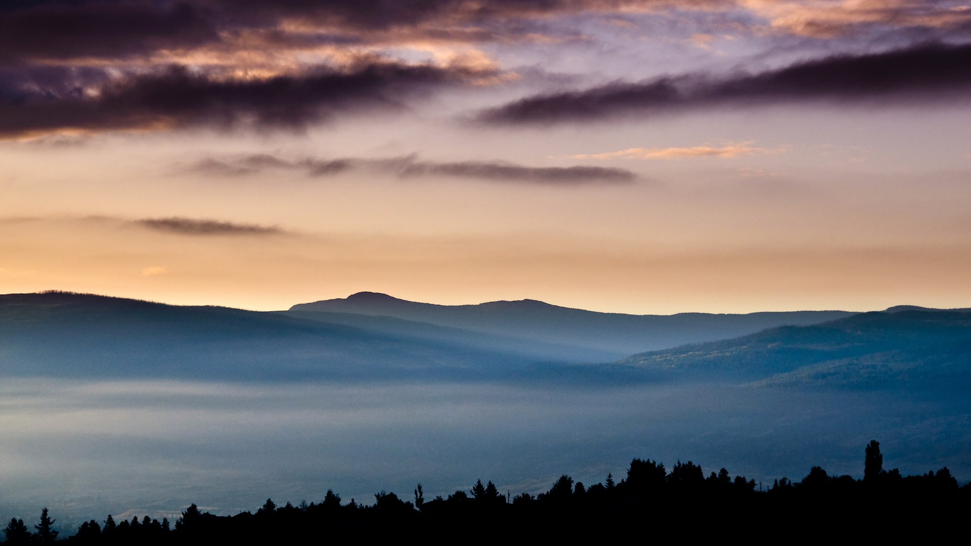 Misty mountain range at sunset with silhouetted trees HD Wallpaper