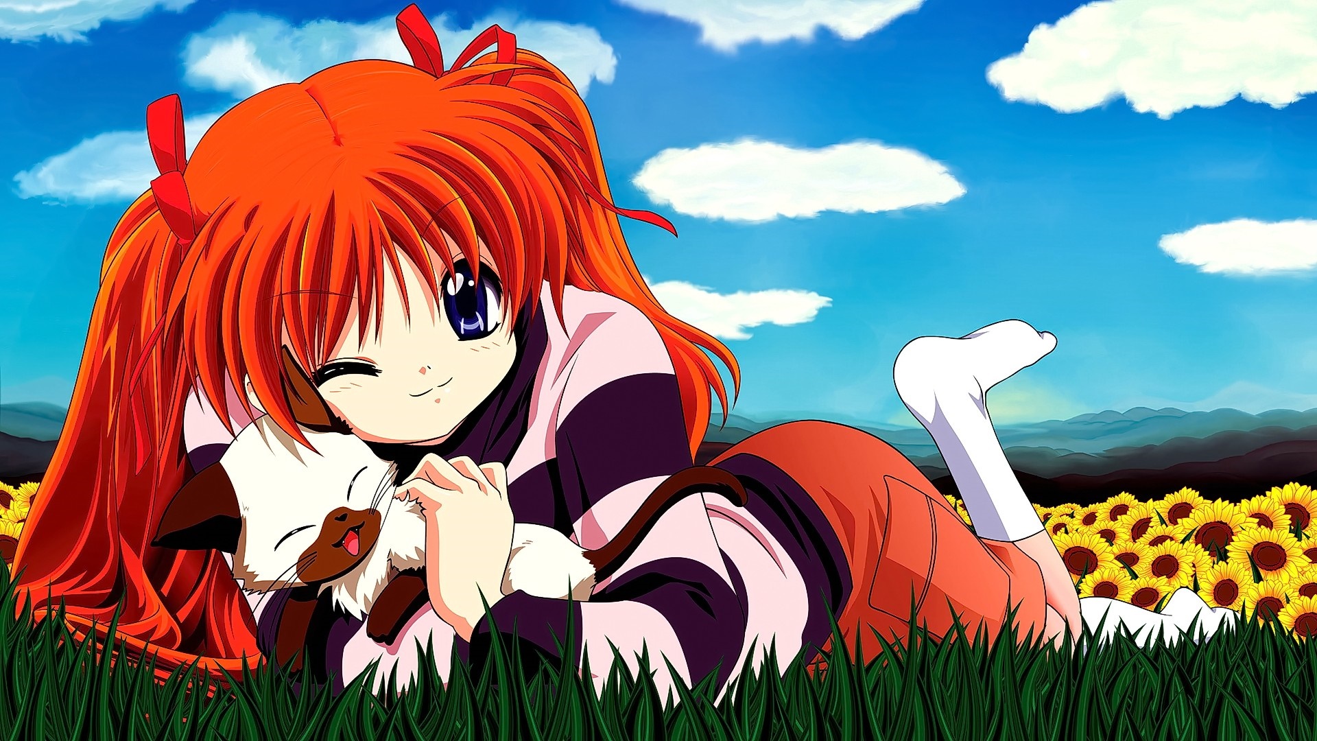 Makoto Sawatari from Kanon with a cat in a sunflower field HD Wallpaper