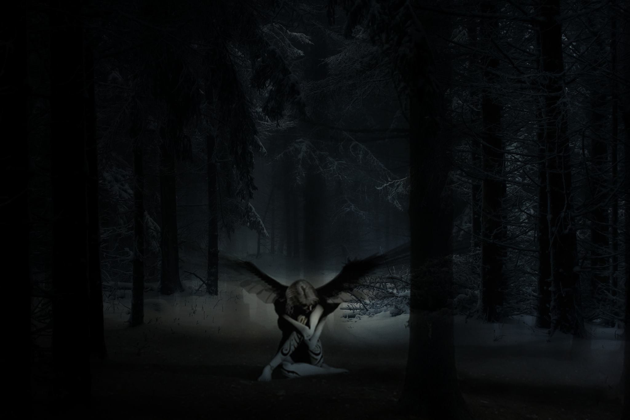 Fallen angel in a dark, snowy forest at night HD Wallpaper