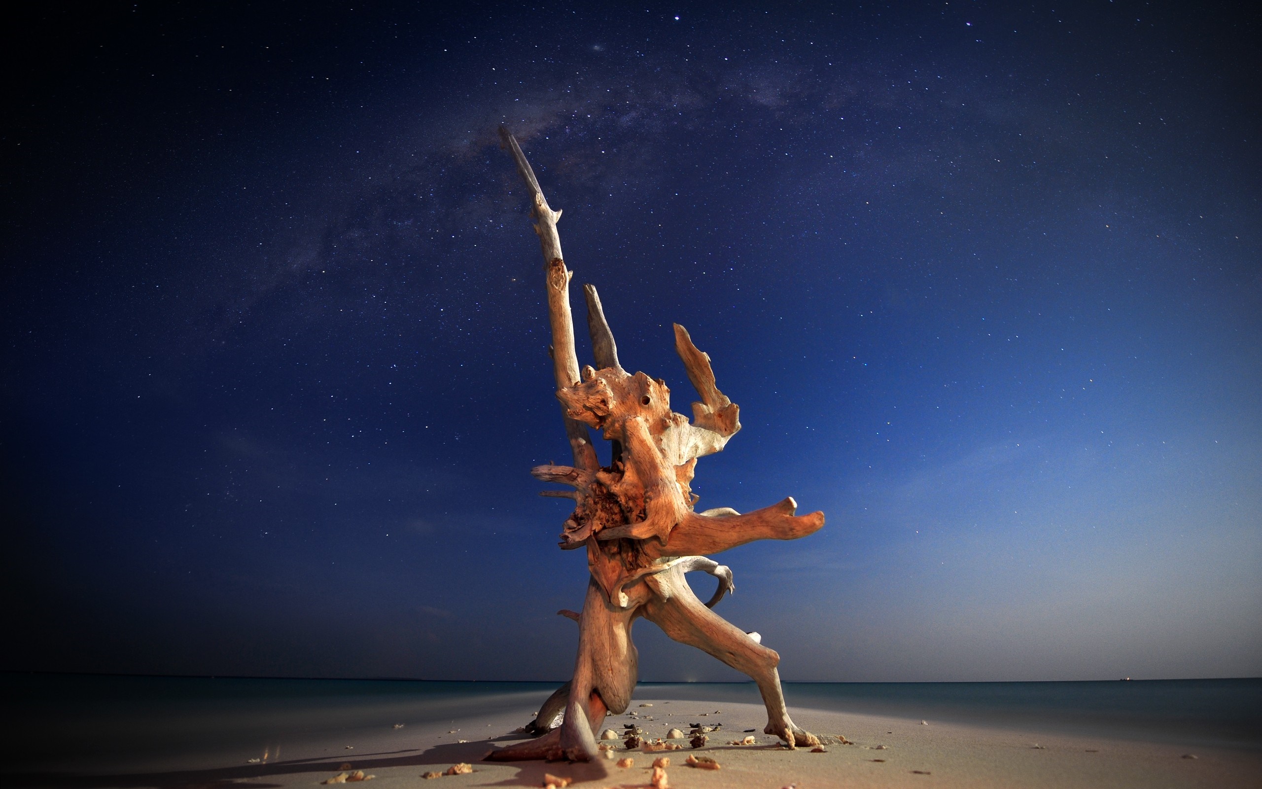 Driftwood sculpture on a beach under the stars HD Wallpaper