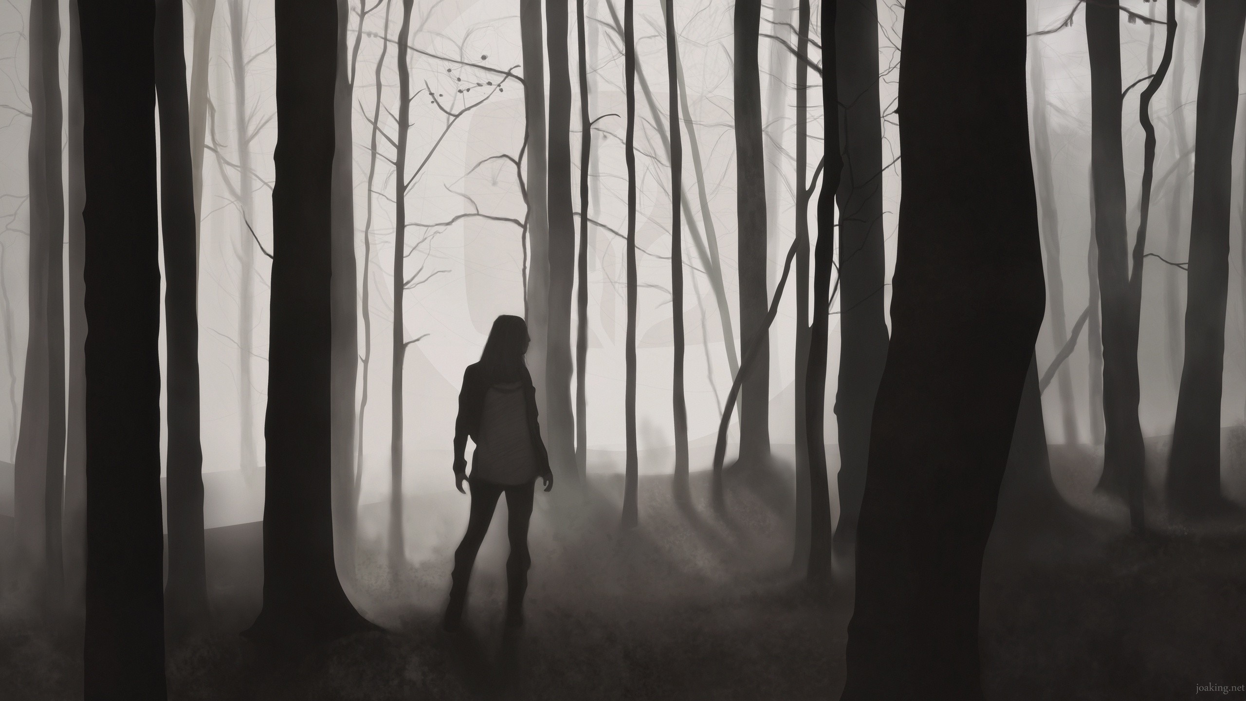 Person walking in a dark, misty forest HD Wallpaper