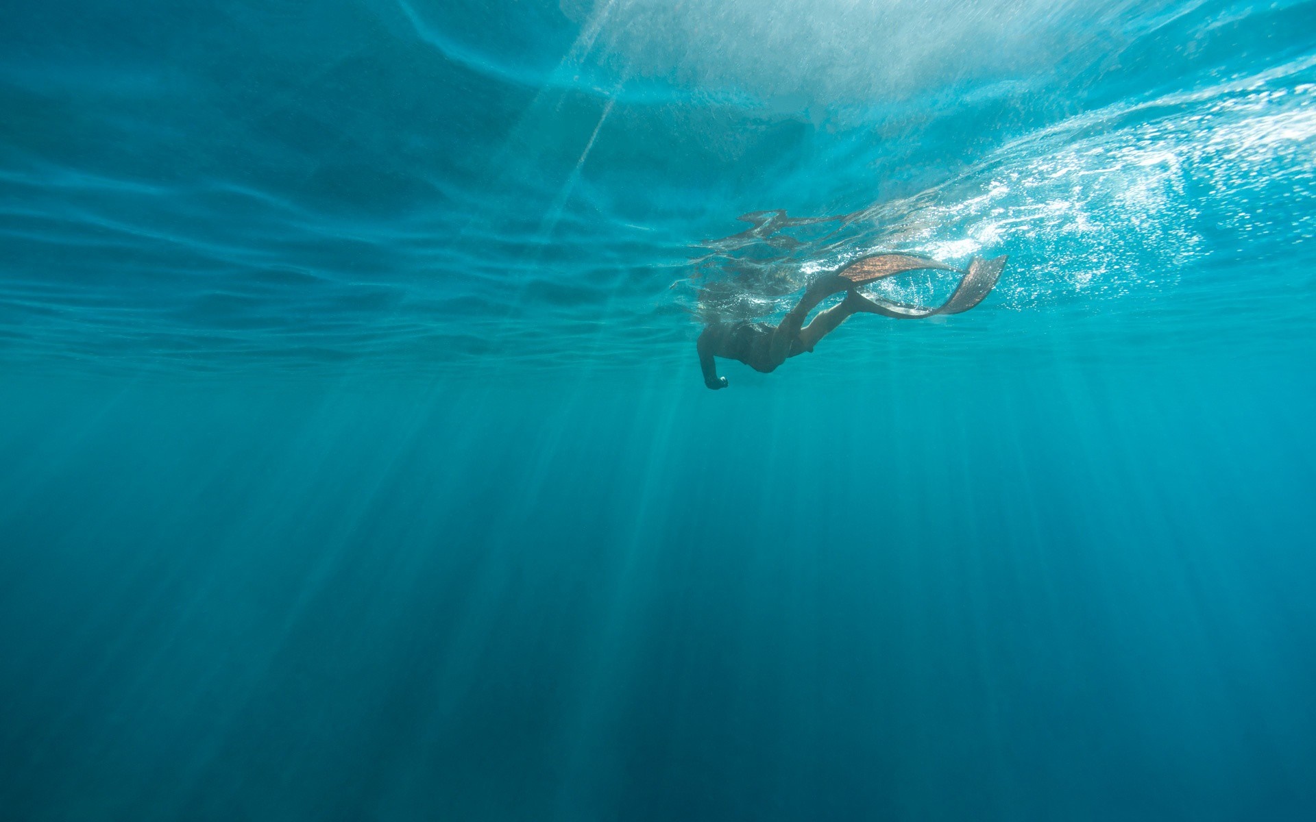 Underwater view of a person freediving with fins HD Wallpaper