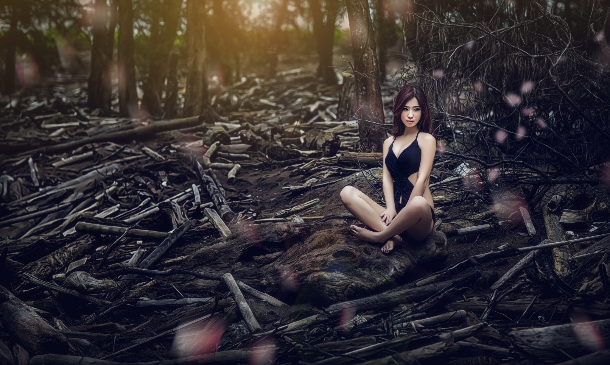Woman in Black Outfit Sitting in a Sunlit Forest HD Wallpaper