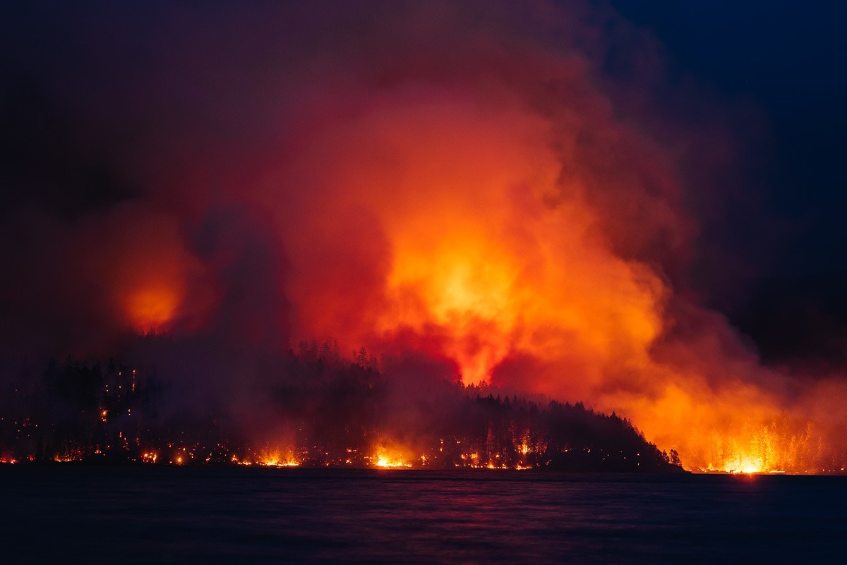 Wildfire raging at night over a forest and sea HD Wallpaper