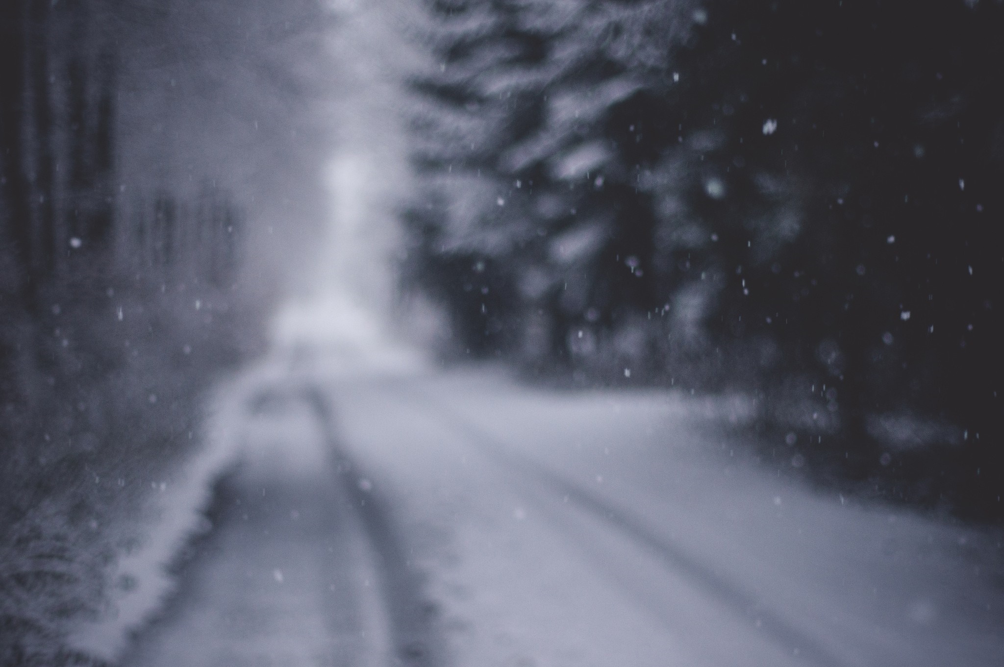Blurred snowy road in a forest during winter HD Wallpaper
