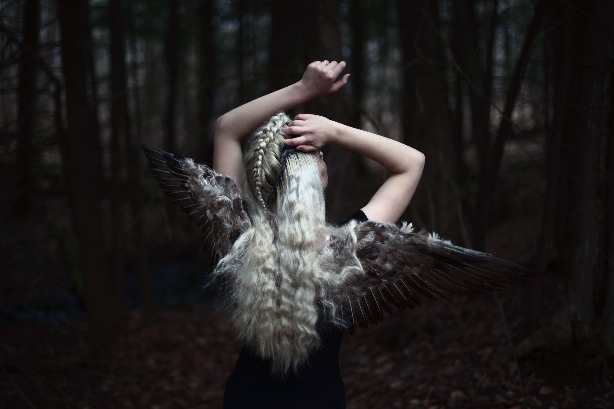 Woman with bird wings in a dark forest HD Wallpaper