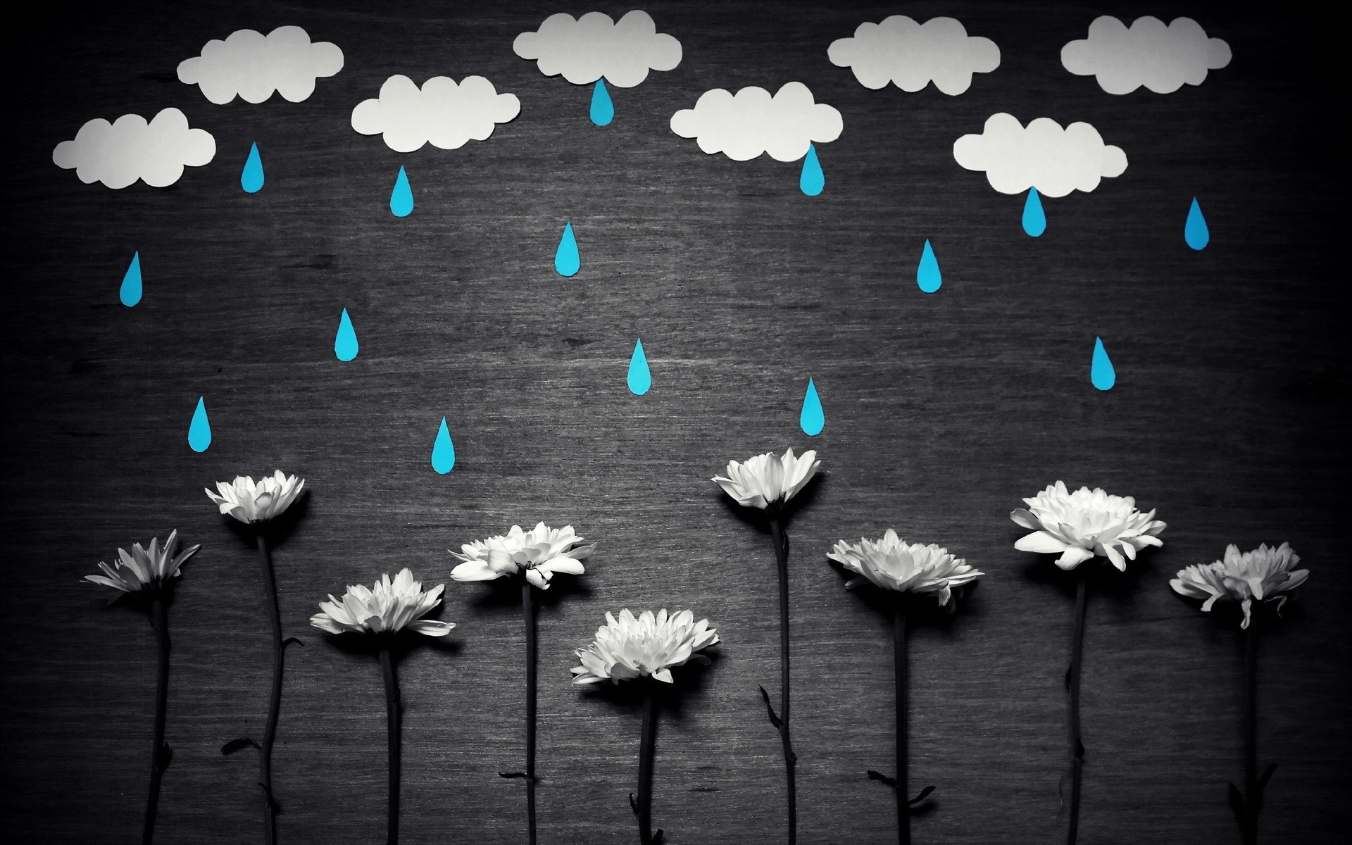 Paper clouds and raindrops over white flowers HD Wallpaper