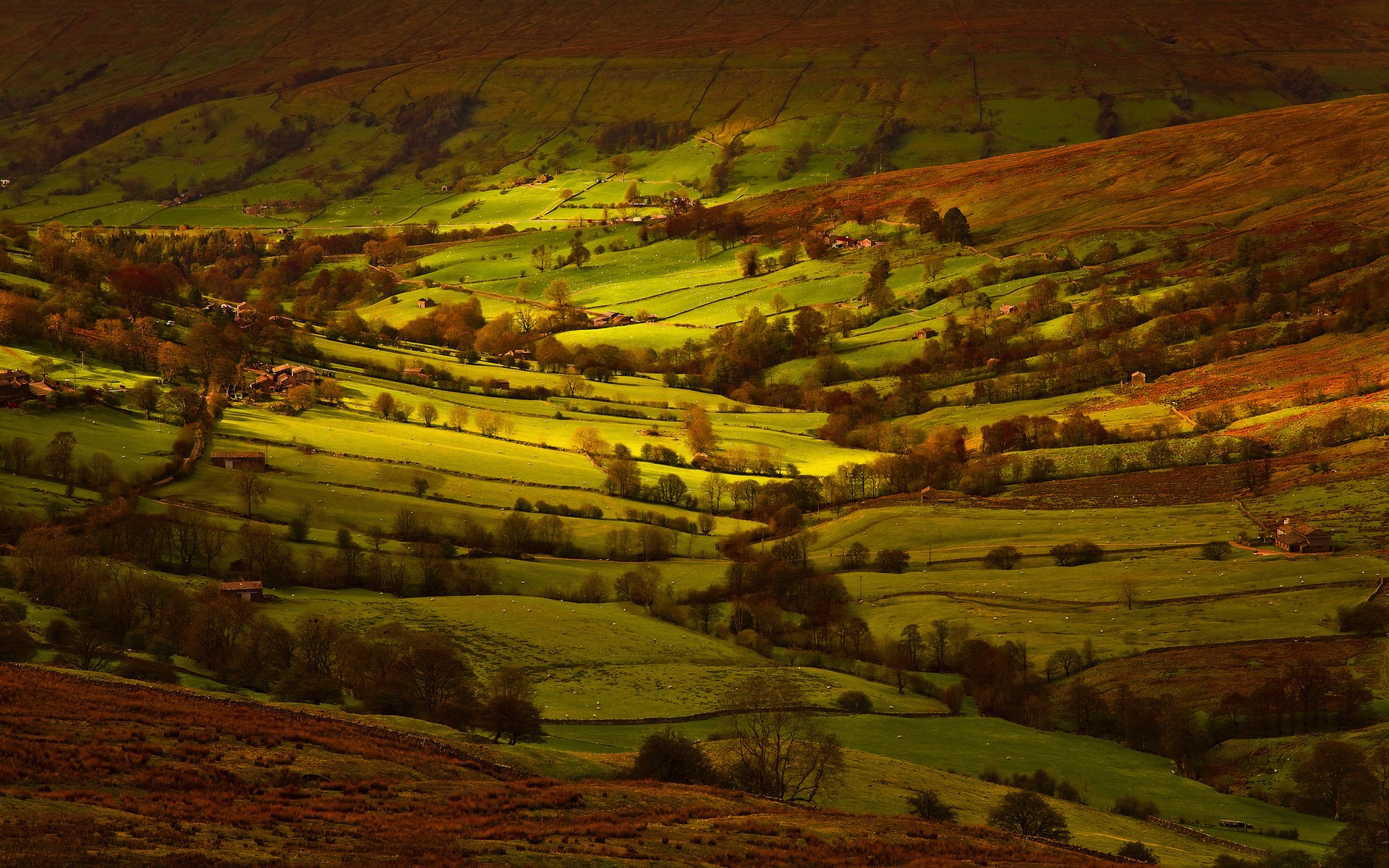 Sunlit rolling hills with scattered trees and buildings HD Wallpaper