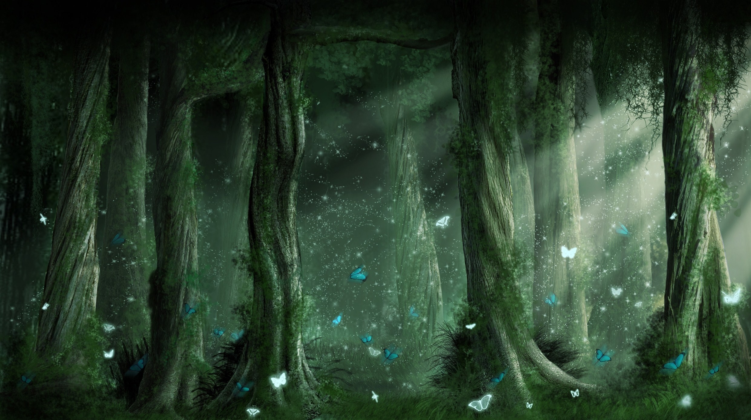 Fantasy forest with sunlight and butterflies HD Wallpaper