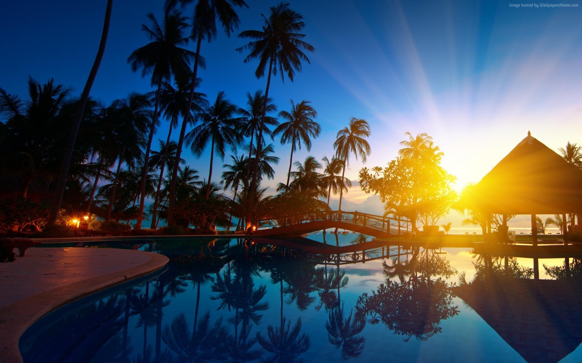 Tropical resort with pool and palm trees at sunset HD Wallpaper
