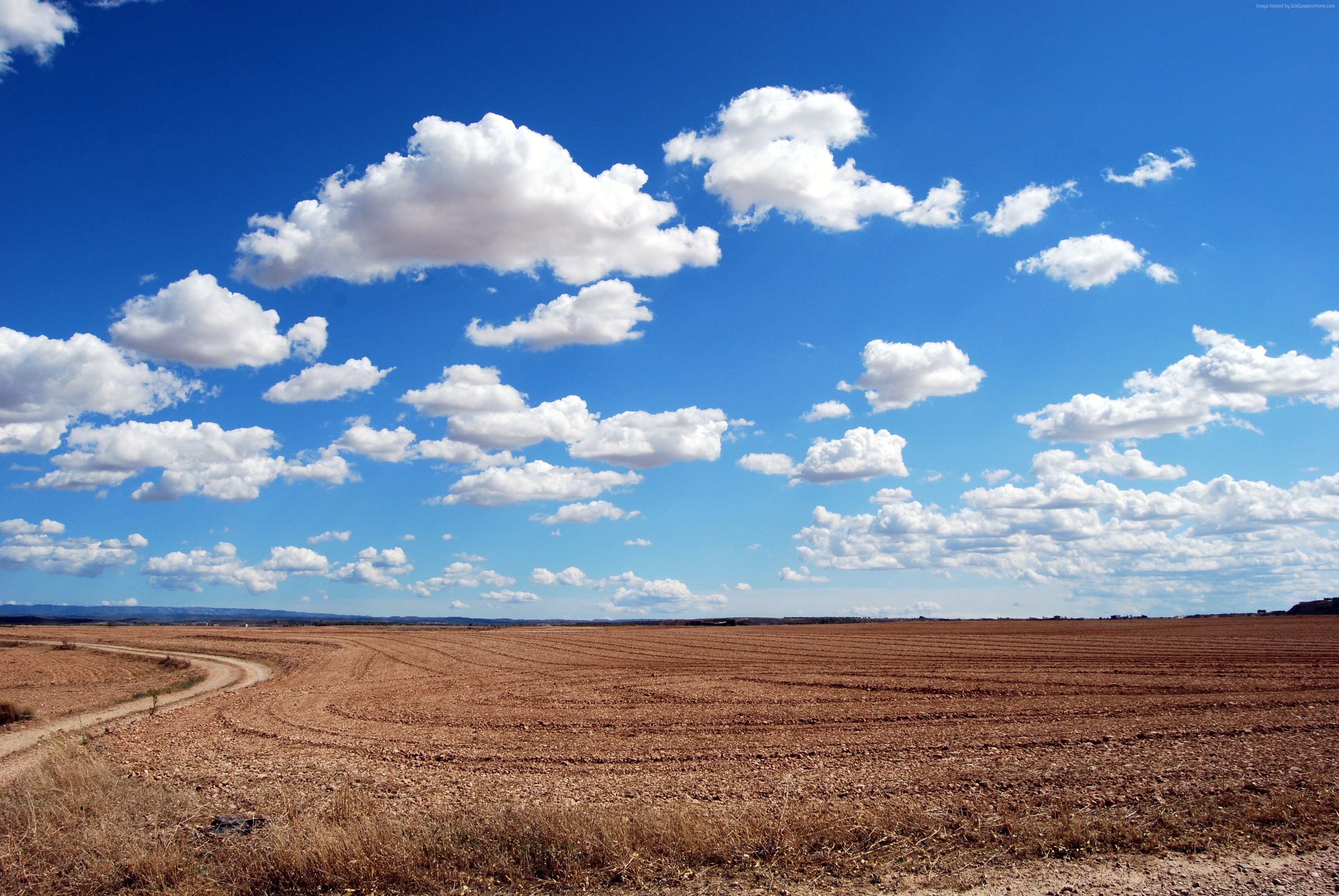 4K field with blue sky and clouds HD Wallpaper
