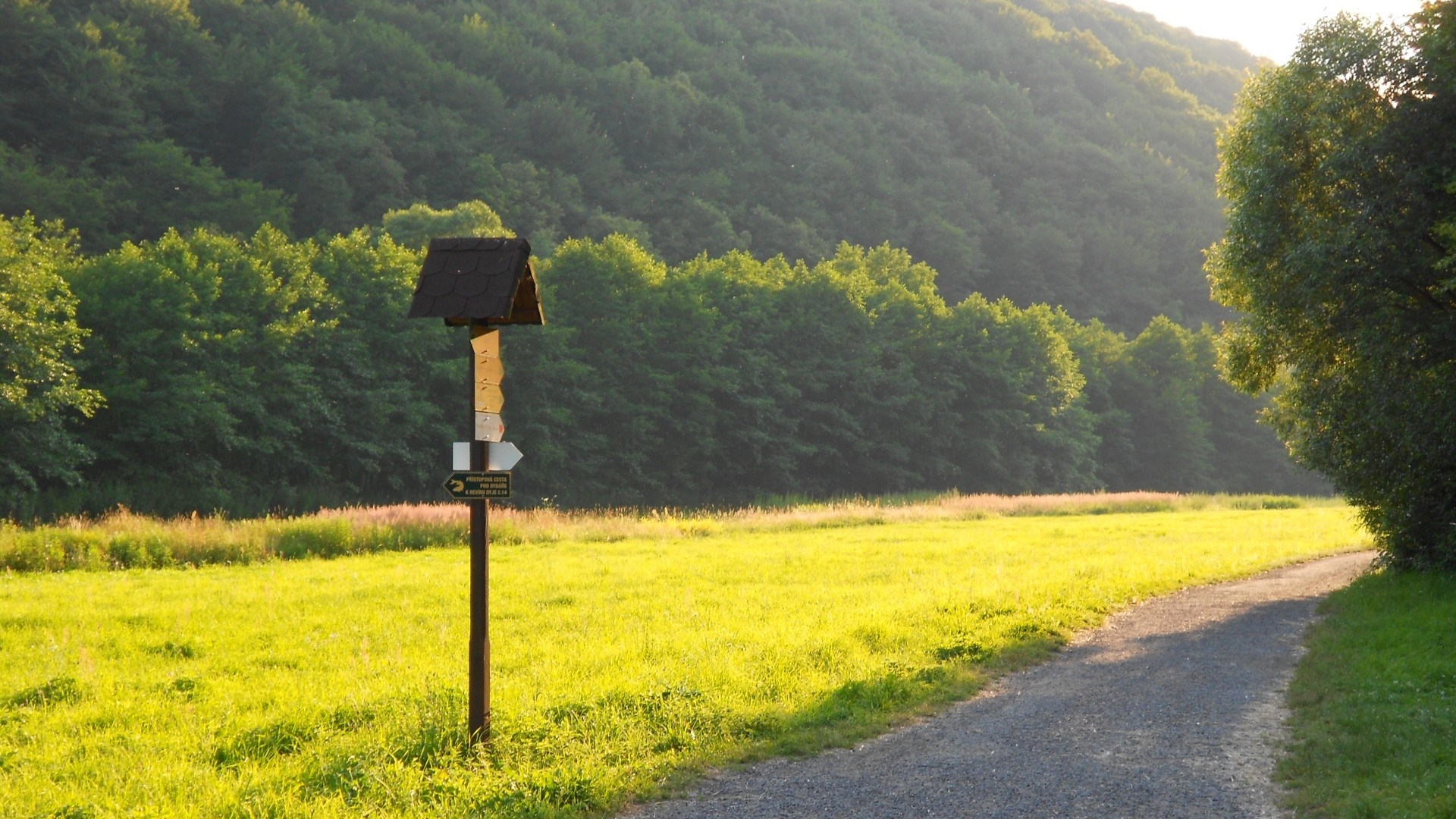 Signpost in a sunlit meadow with a forest-covered hill HD Wallpaper