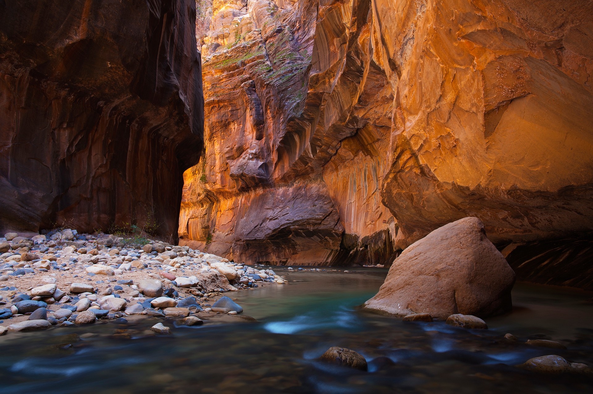 The Narrows, Zion National Park HD Wallpaper