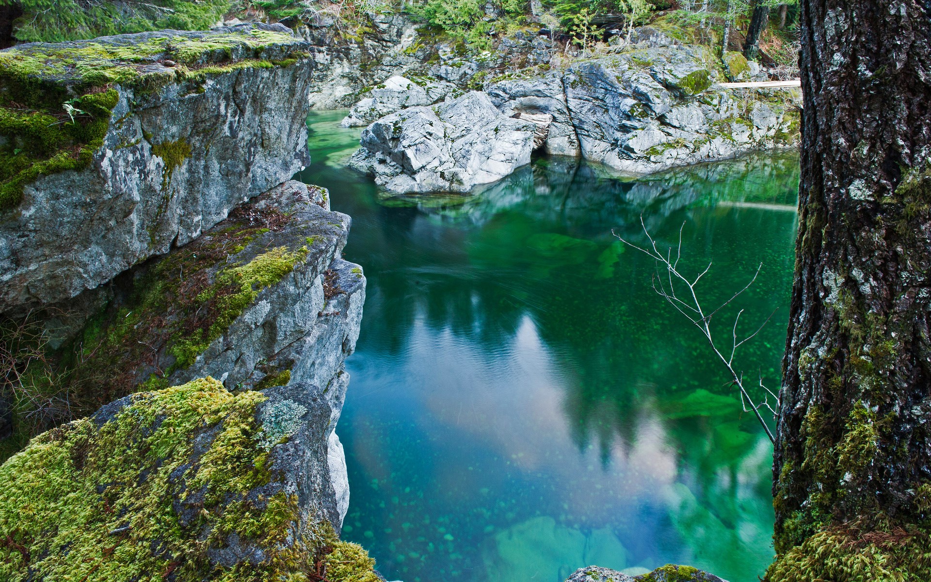 Mossy rocks overlook a clear green river in a forest HD Wallpaper