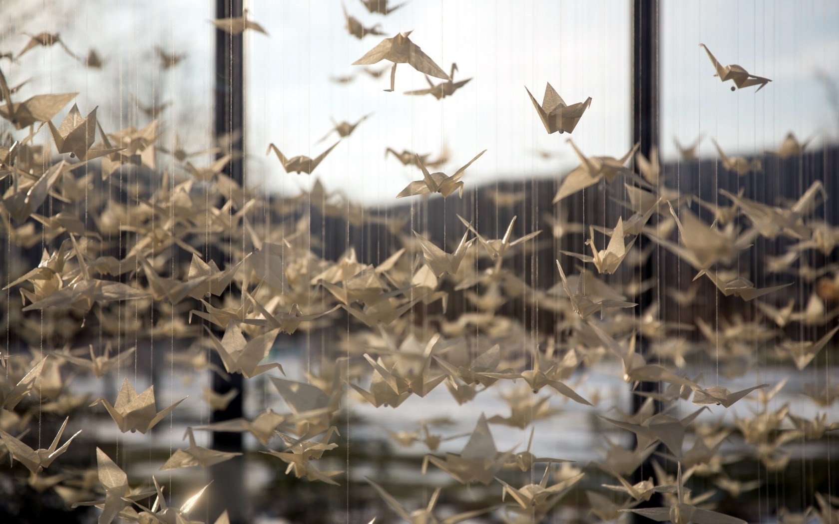 Origami paper cranes hanging on strings HD Wallpaper
