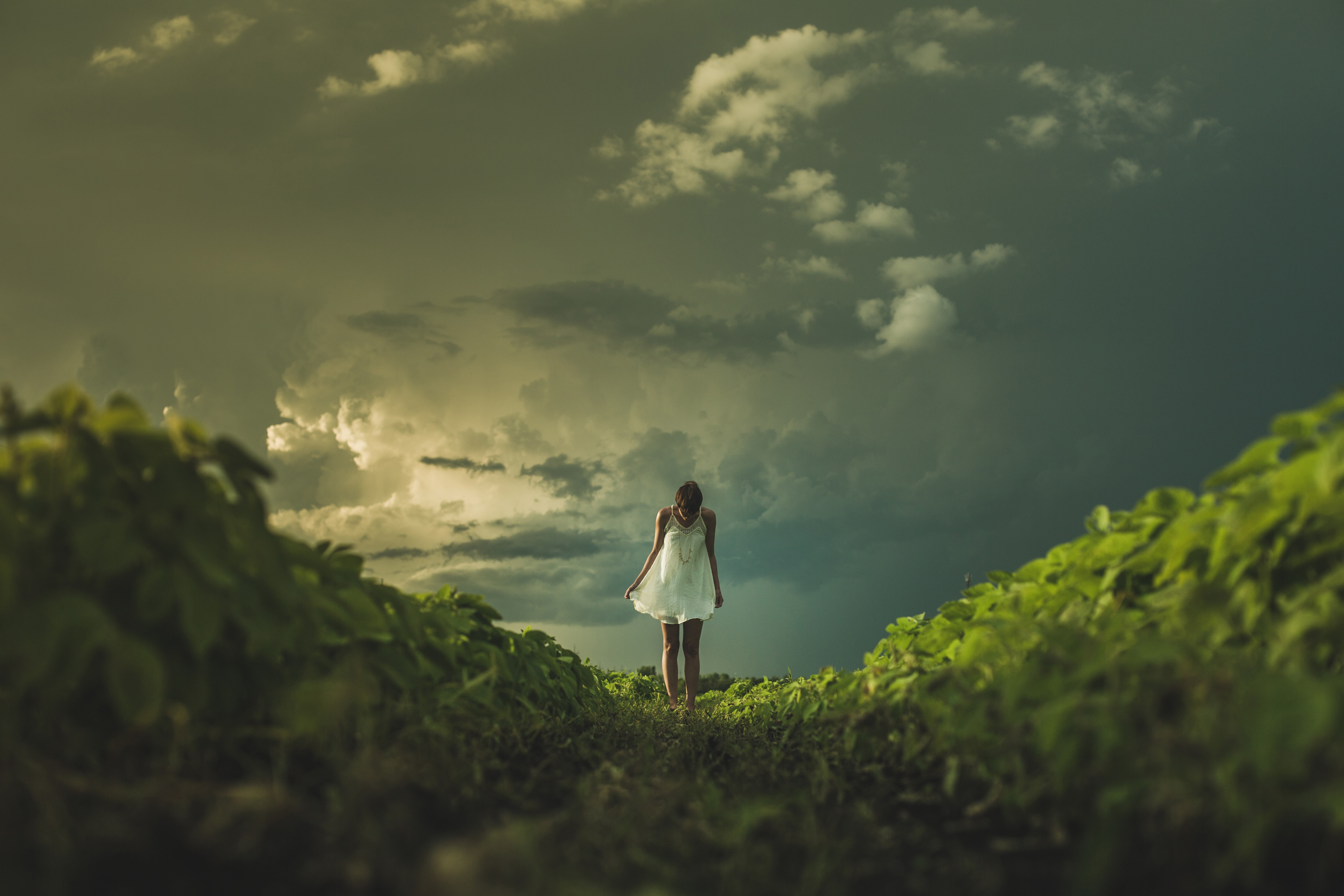 Woman in white dress walking in a field under stormy clouds HD Wallpaper