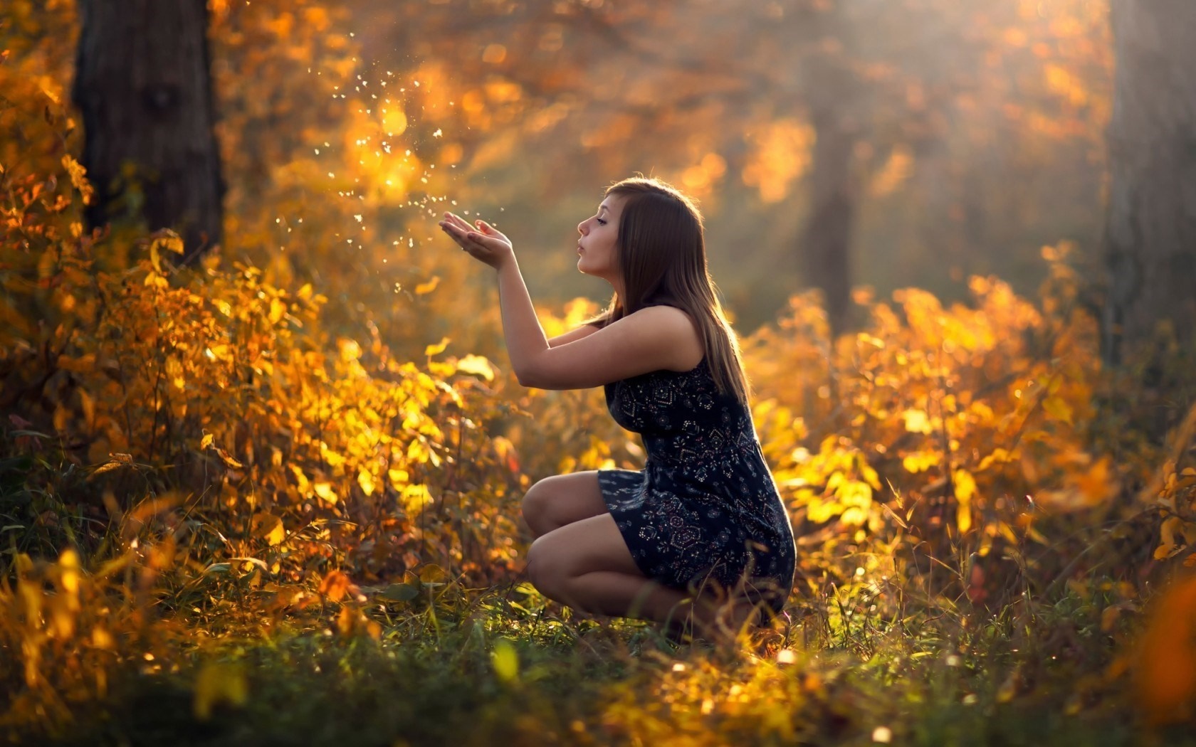 Woman blowing sparkles in a sunlit autumn forest HD Wallpaper