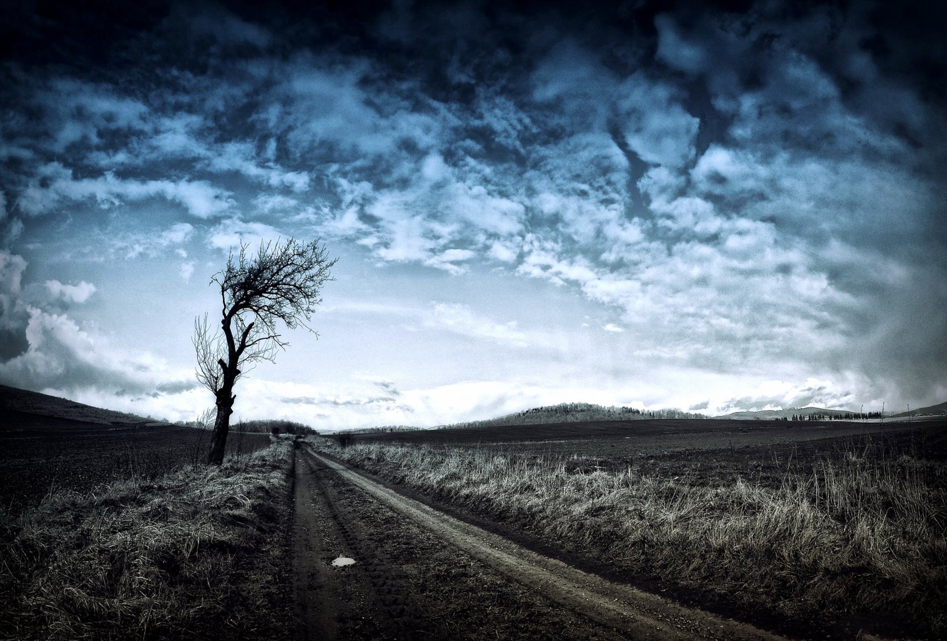 Lone tree on a dirt road under stormy clouds HD Wallpaper