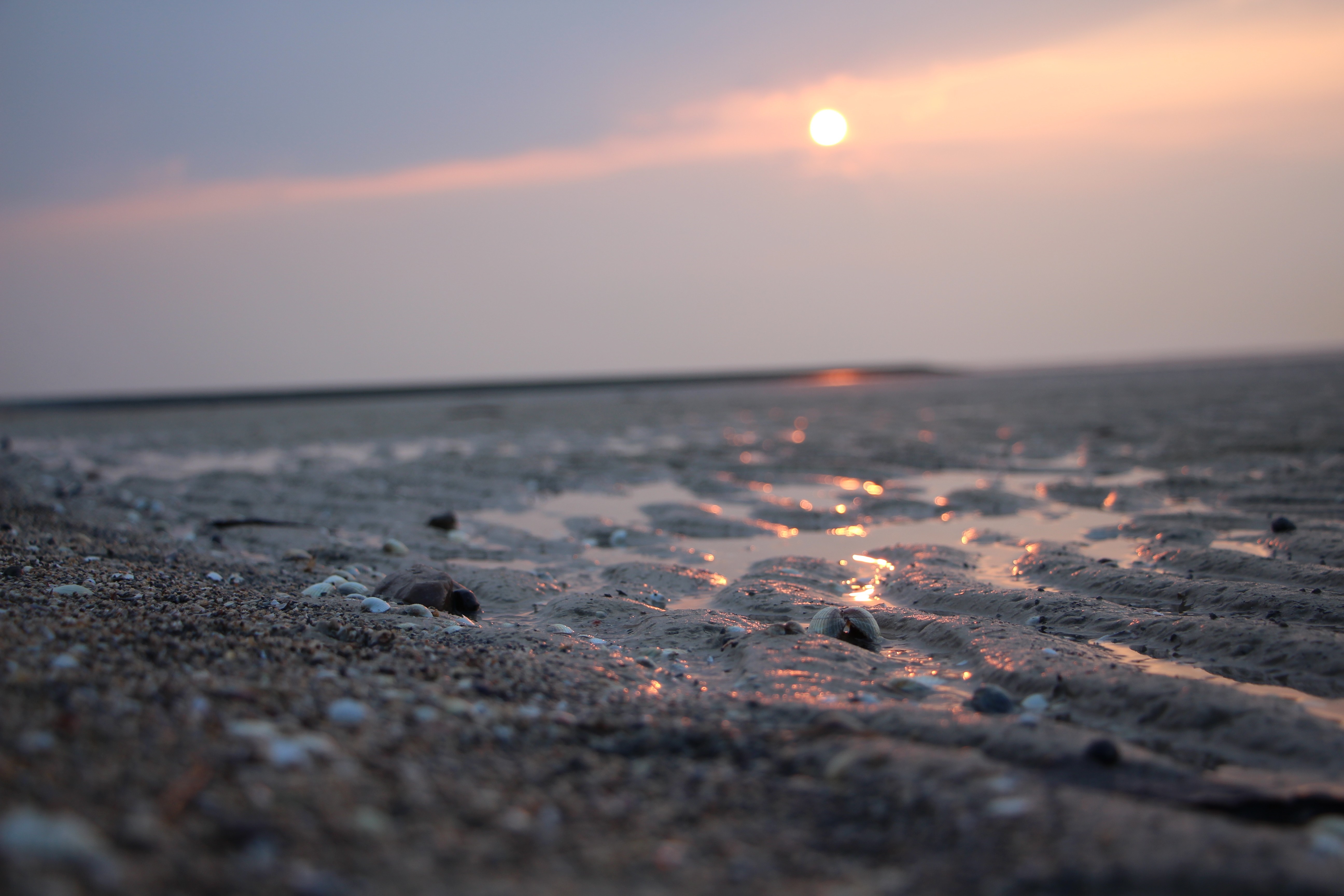 Sunset over a sandy beach with shallow water HD Wallpaper