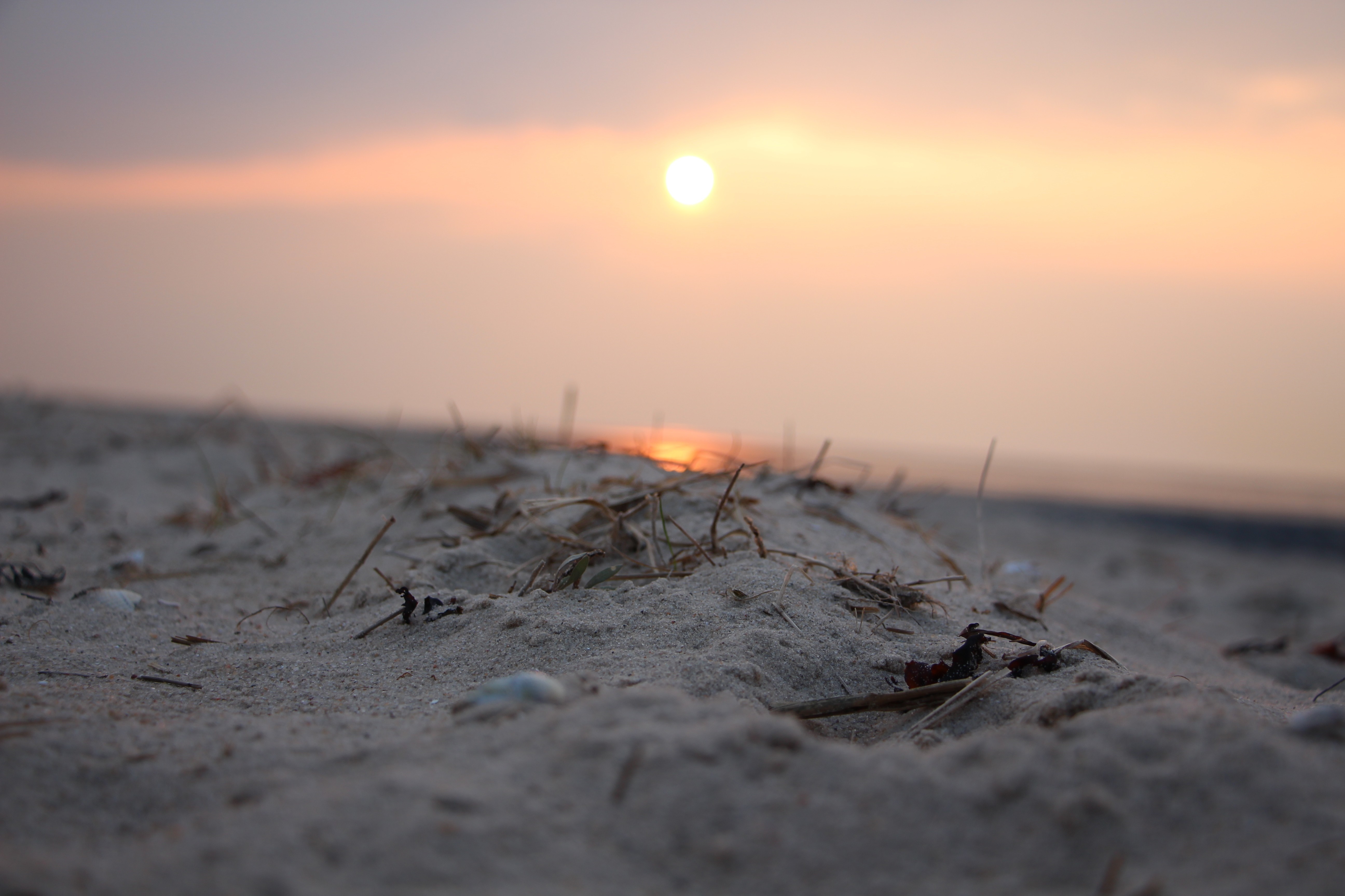 Sunset over the sea at a sandy beach with dry grass HD Wallpaper