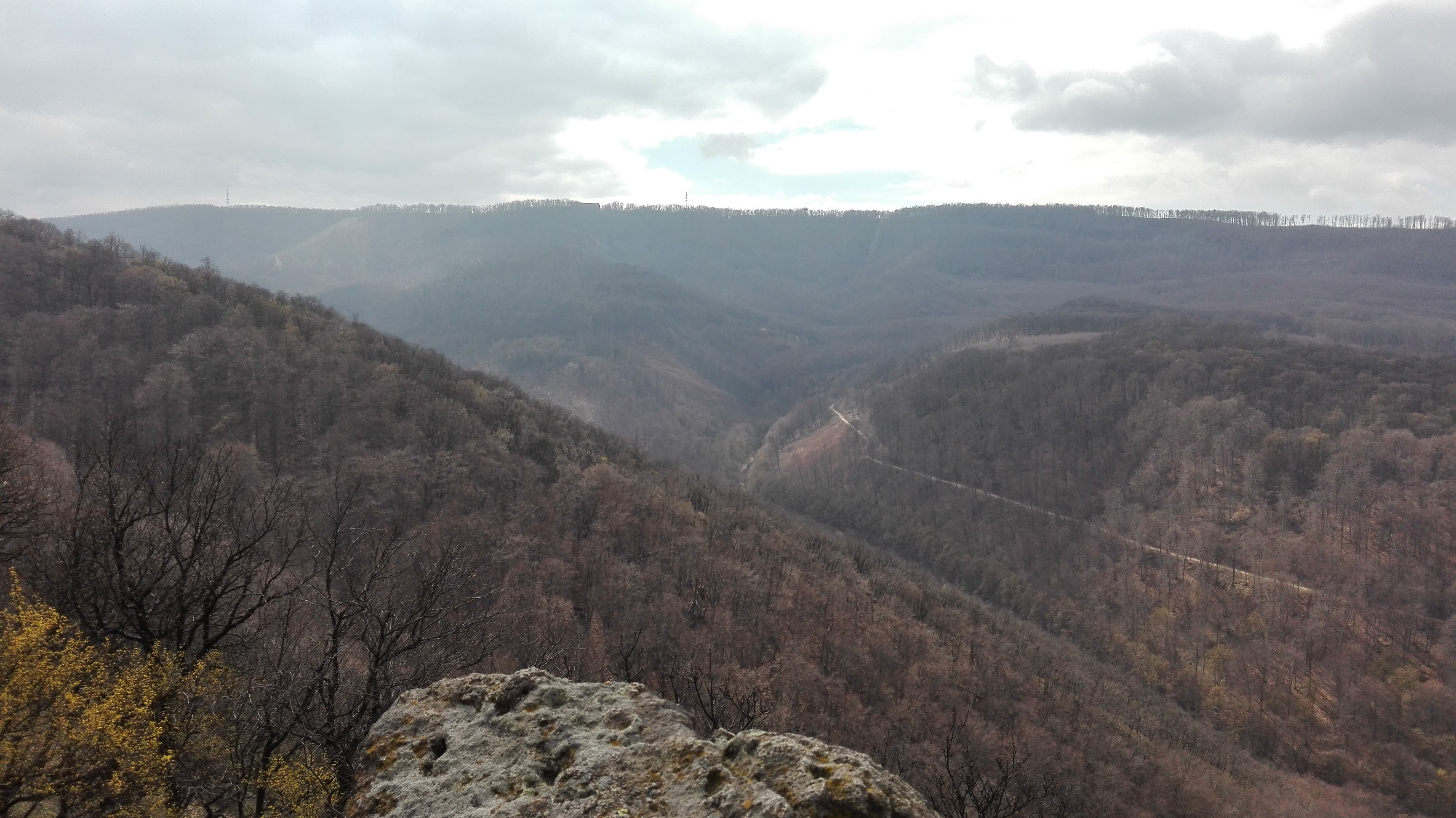 Overlooking a forested valley with a distant tower HD Wallpaper