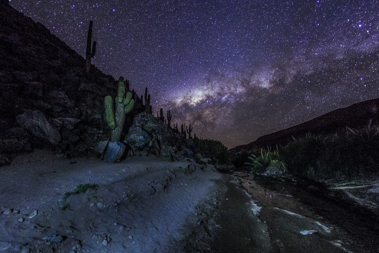 Milky Way over Atacama Desert with Saguaro Cacti HD Wallpaper