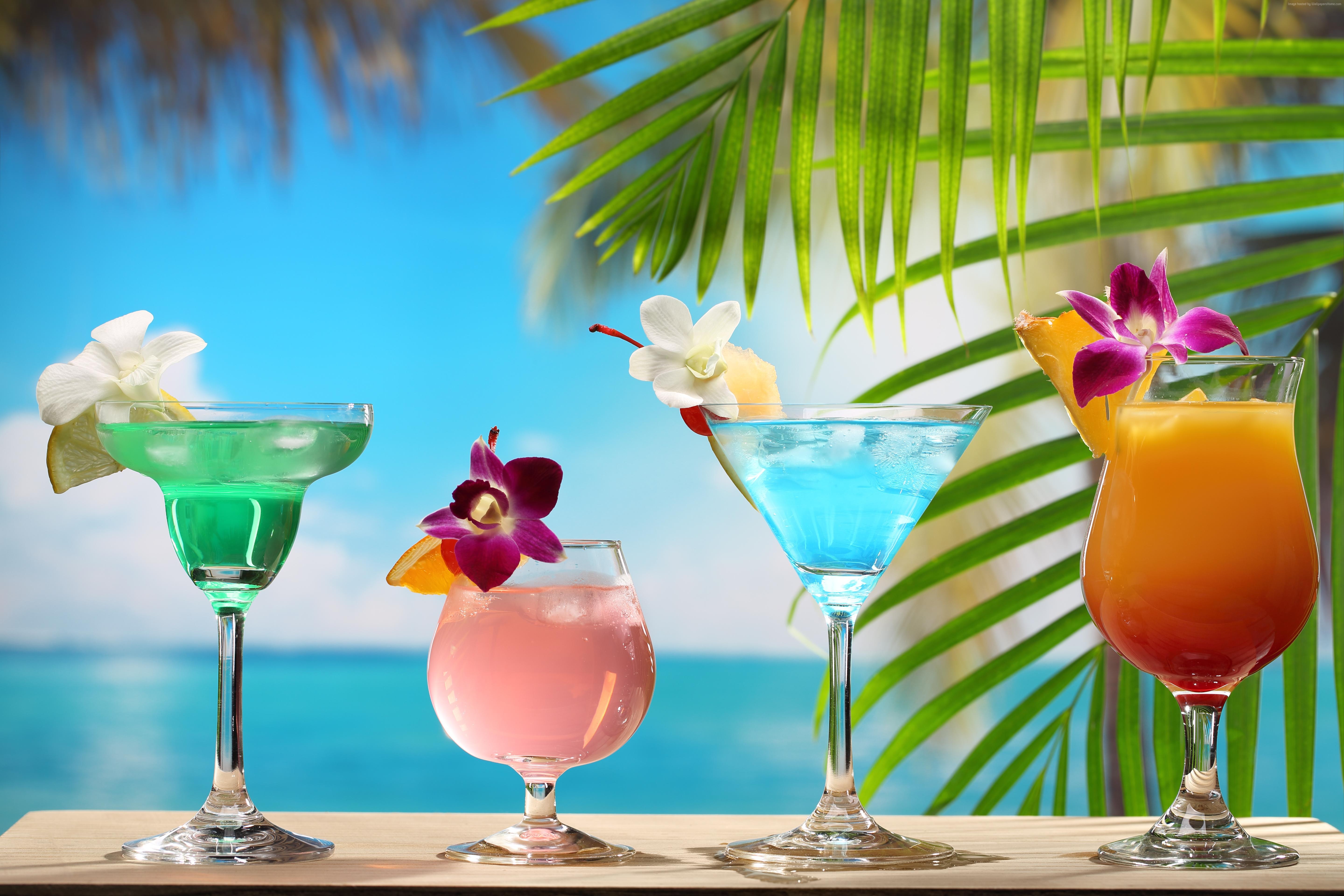 Four tropical cocktails on a wooden surface with palm trees and ocean background HD Wallpaper