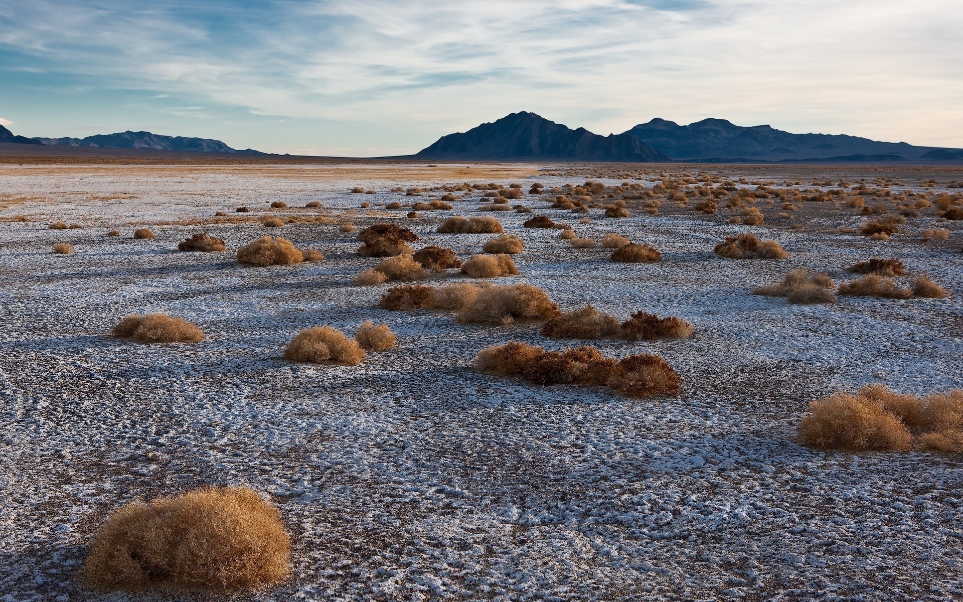 Desert landscape with mountains and tumbleweeds HD Wallpaper