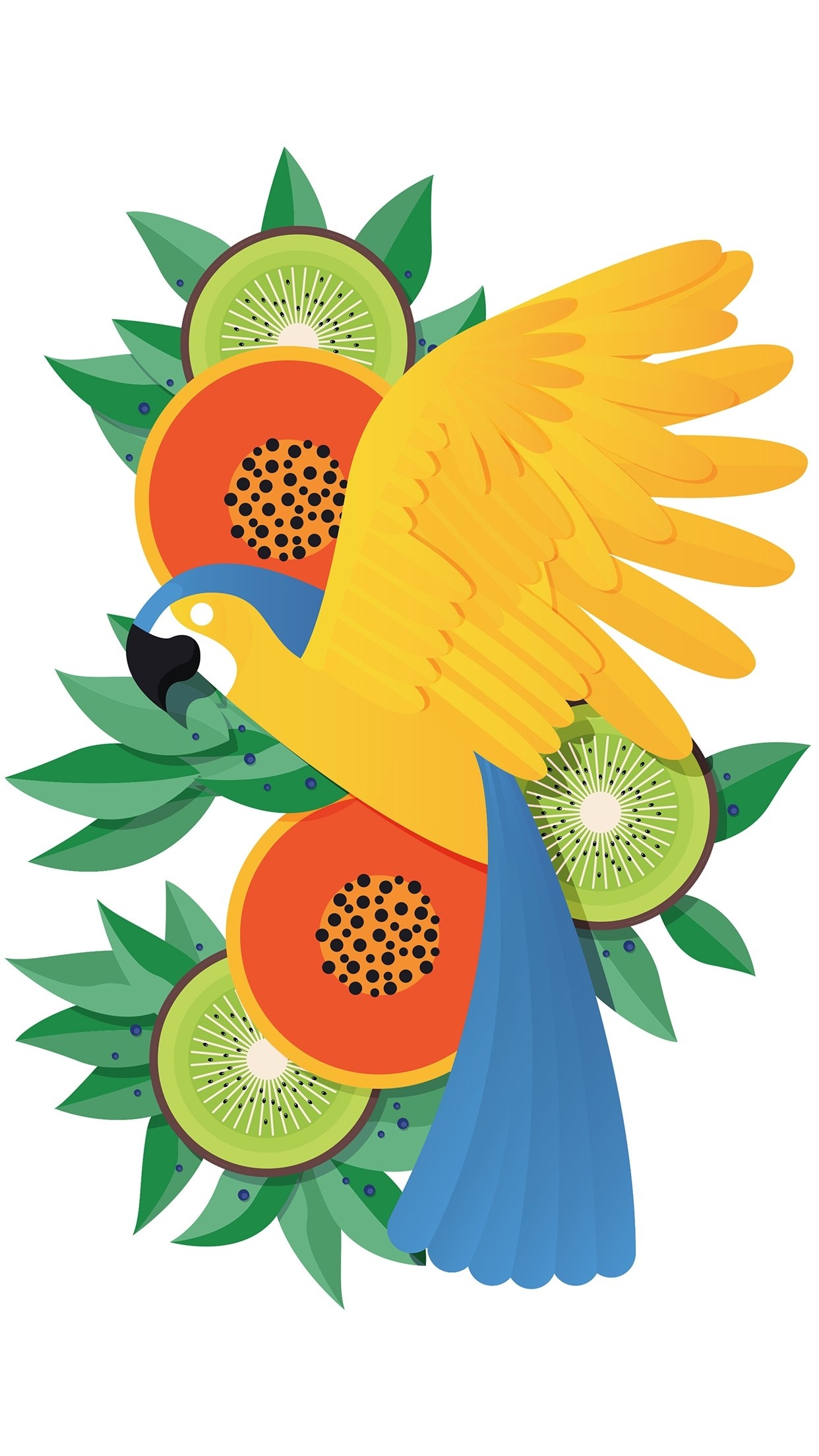 Parrot with tropical fruits and leaves illustration HD Wallpaper