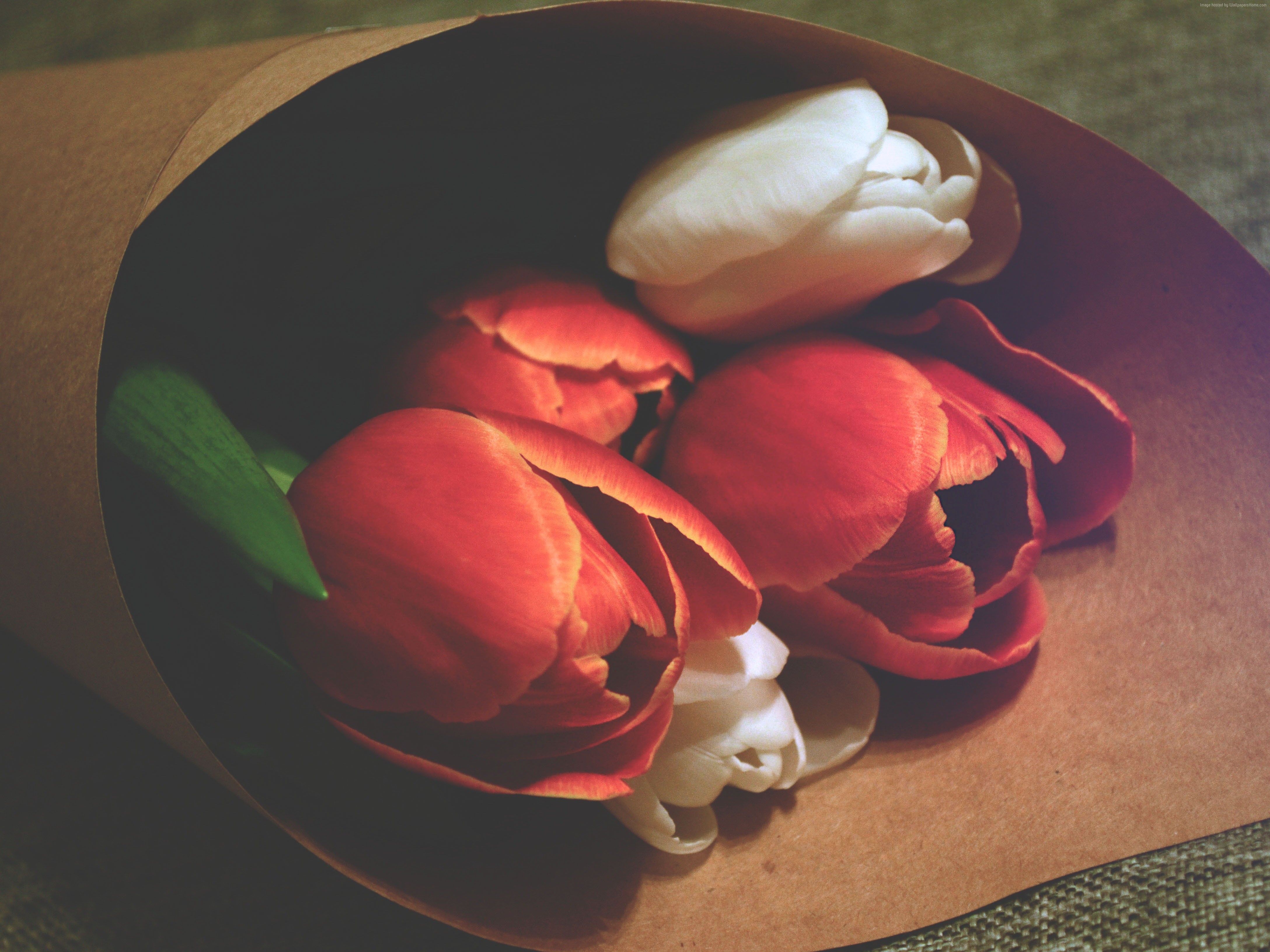 Bouquet of red and white tulips in brown paper HD Wallpaper