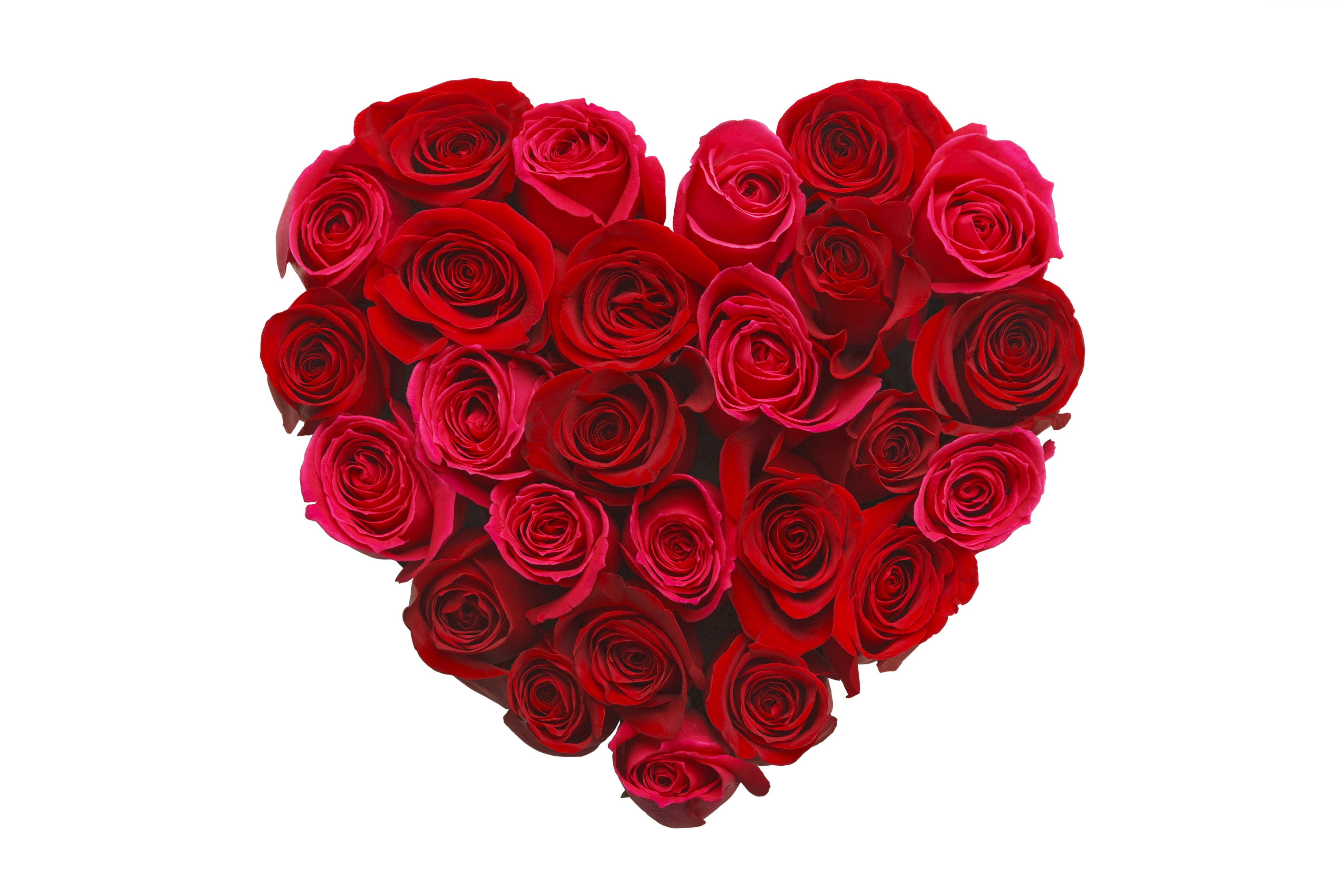 Heart shape made of red roses HD Wallpaper